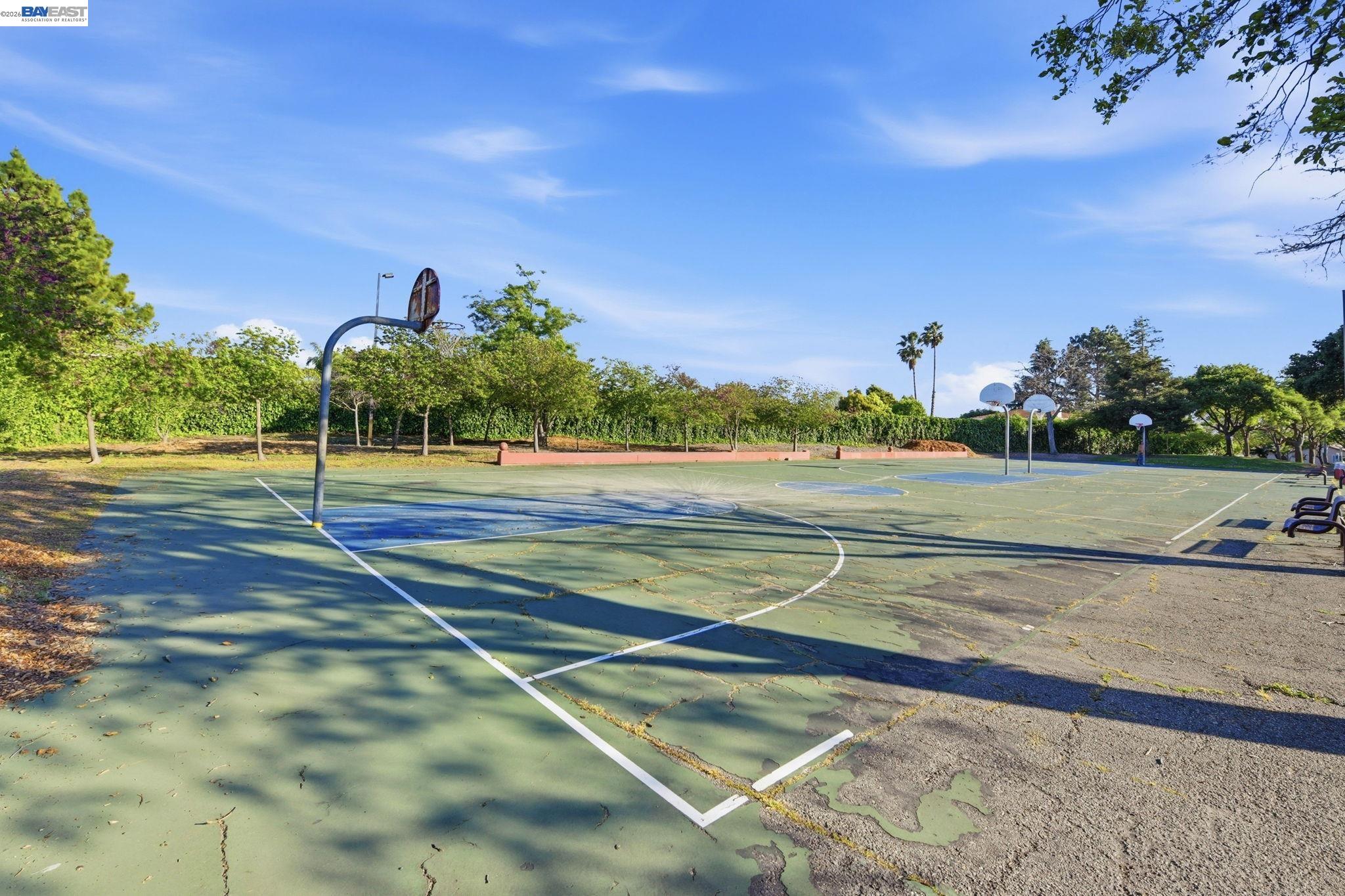 Photo #28: 41130858 Listing: Photo #28