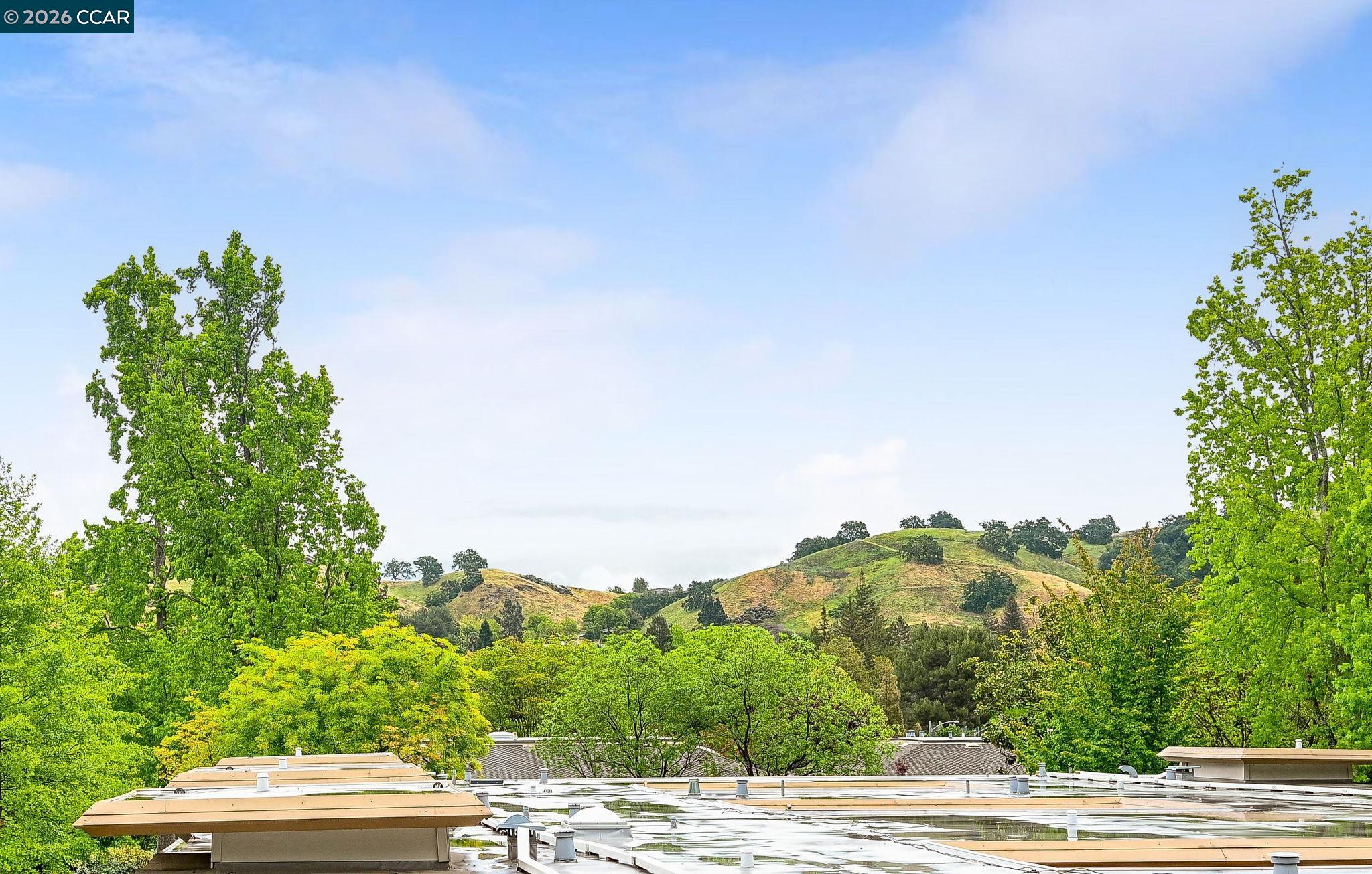 Photo #17: 41130899 Listing: Photo #17