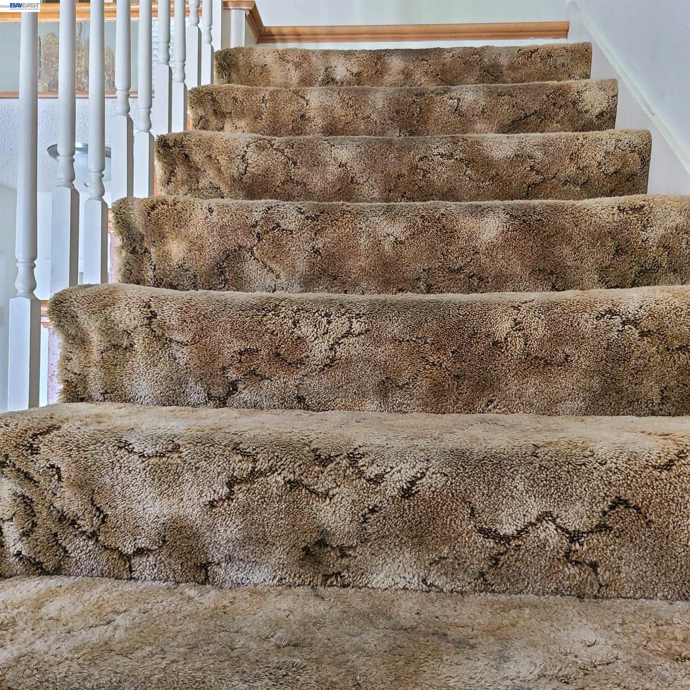 Detail Gallery Image 34 of 40 For Flint Avenue, San Jose,  CA 95148-2118 - 4 Beds | 3 Baths