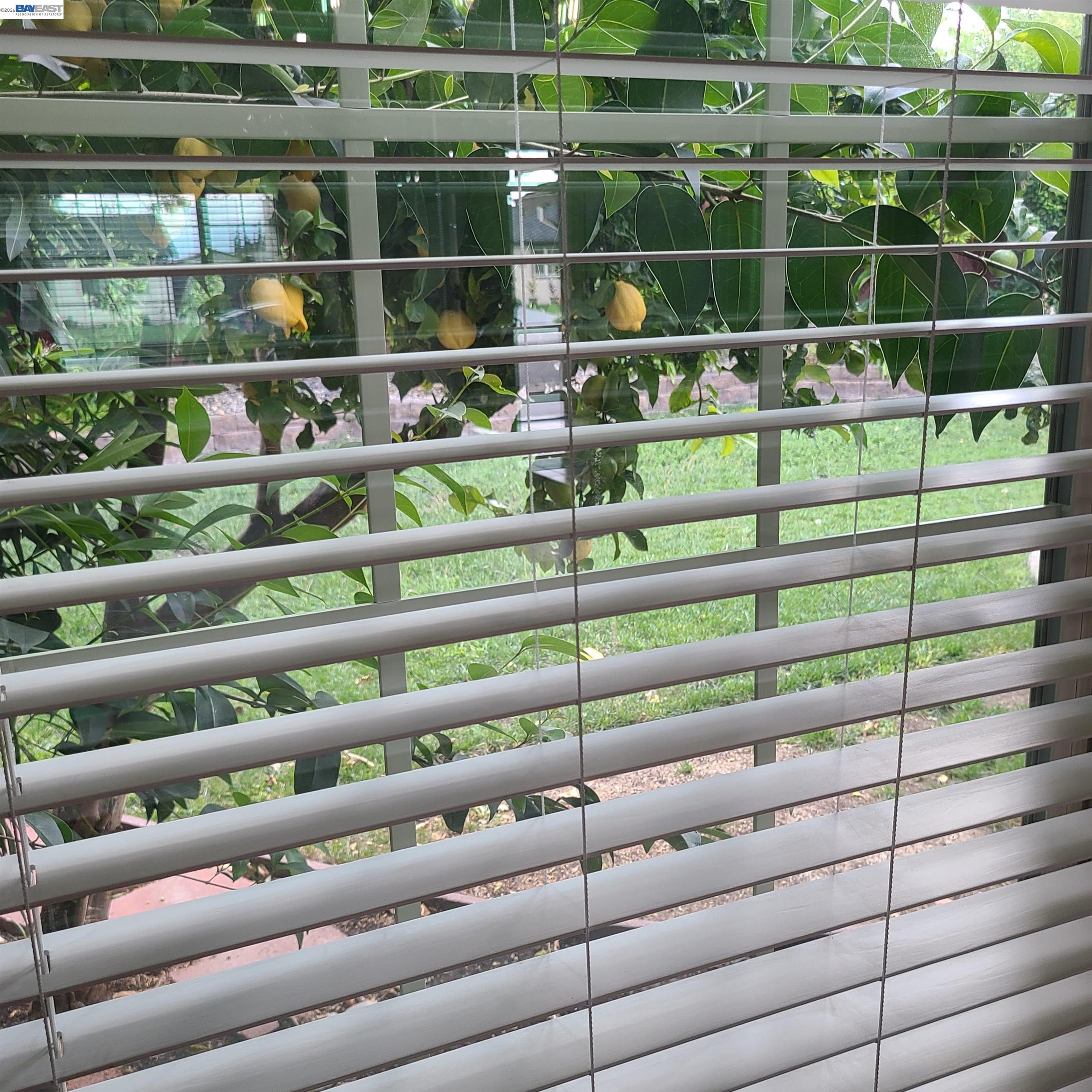 Detail Gallery Image 9 of 40 For Flint Avenue, San Jose,  CA 95148-2118 - 4 Beds | 3 Baths