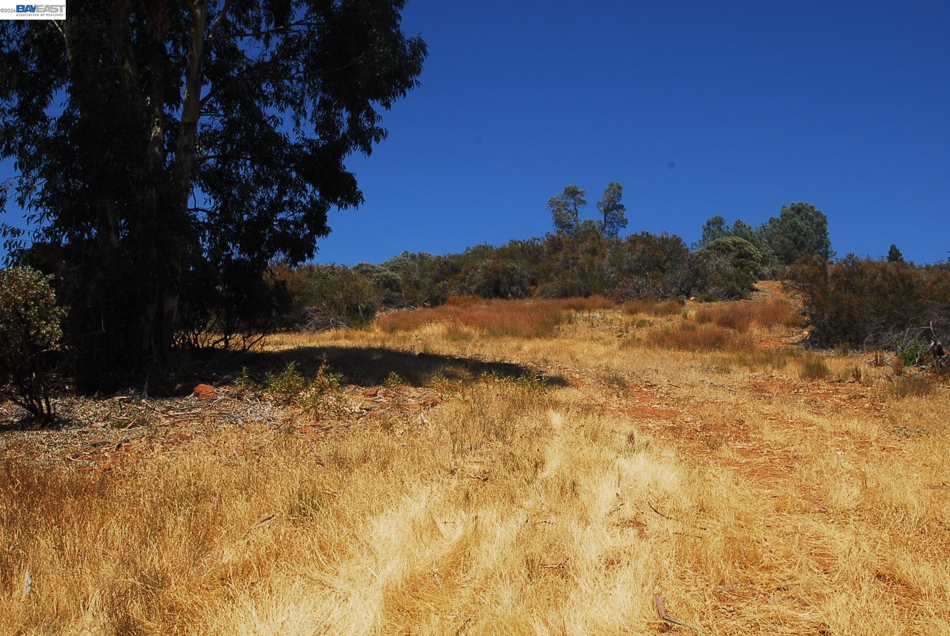 Detail Gallery Image 11 of 28 For 3341 Rancho Tierra Ct, Cameron Park,  CA 95682 - – Beds | – Baths