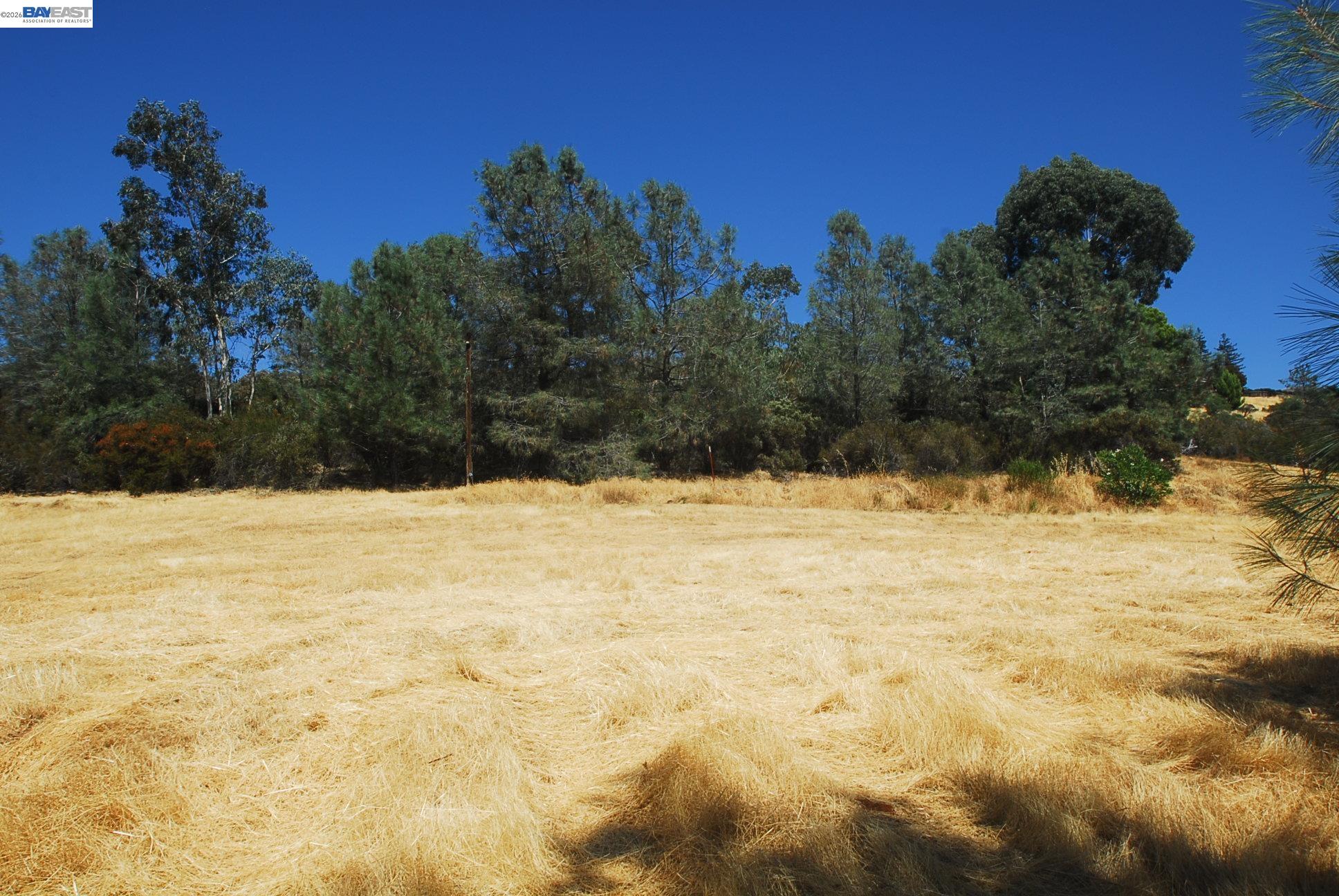 Detail Gallery Image 20 of 28 For 3341 Rancho Tierra Ct, Cameron Park,  CA 95682 - – Beds | – Baths