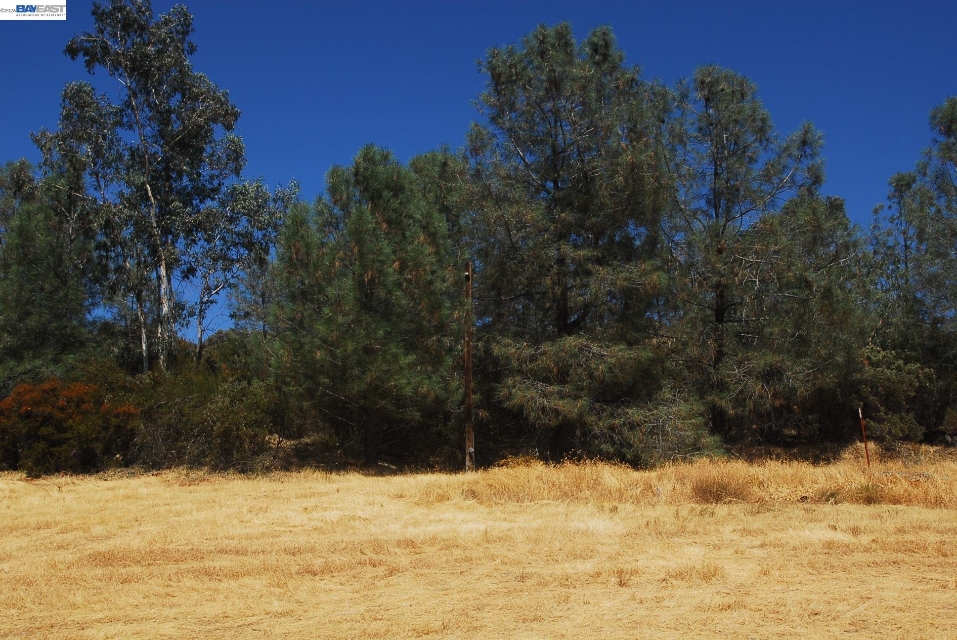 Detail Gallery Image 3 of 28 For 3341 Rancho Tierra Ct, Cameron Park,  CA 95682 - – Beds | – Baths