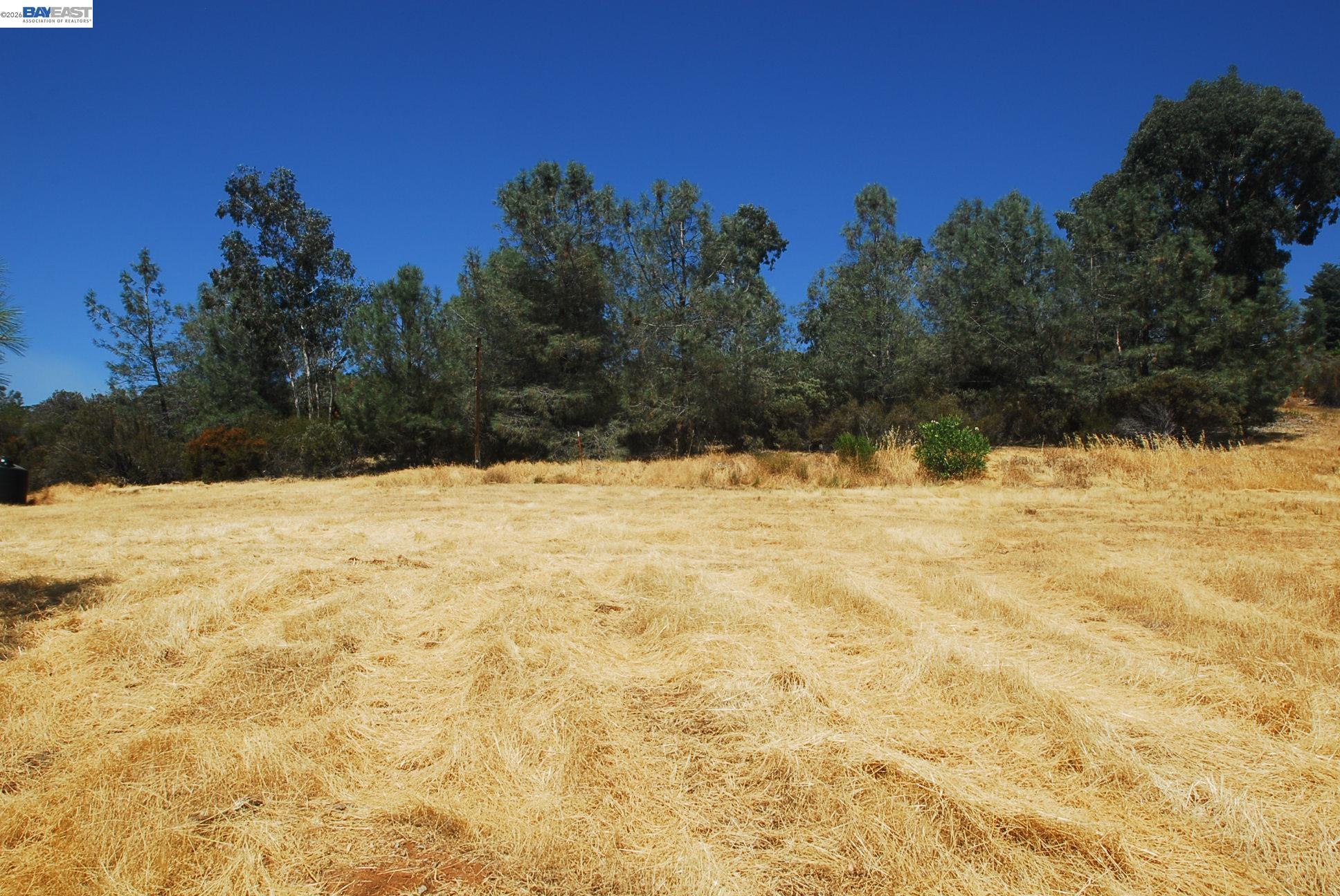 Detail Gallery Image 21 of 28 For 3341 Rancho Tierra Ct, Cameron Park,  CA 95682 - – Beds | – Baths