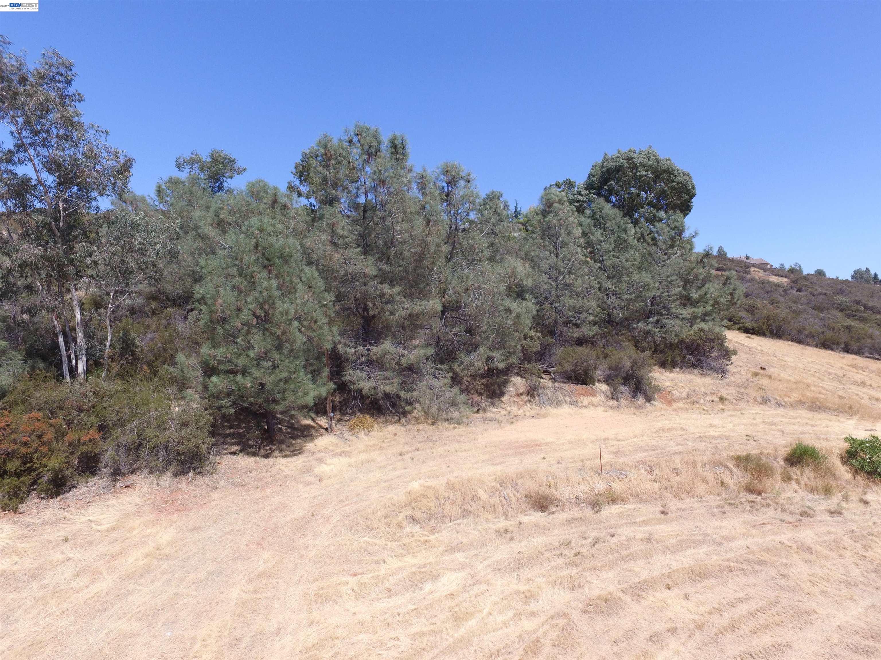 Detail Gallery Image 23 of 28 For 3341 Rancho Tierra Ct, Cameron Park,  CA 95682 - – Beds | – Baths