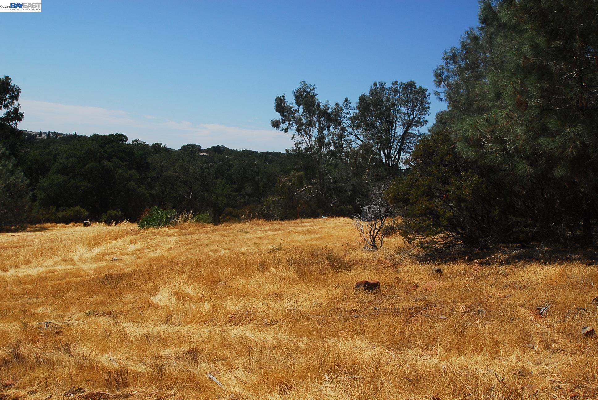 Detail Gallery Image 8 of 28 For 3341 Rancho Tierra Ct, Cameron Park,  CA 95682 - – Beds | – Baths