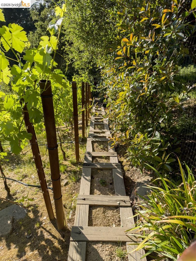 Detail Gallery Image 28 of 34 For 6741 Snake Rd, Oakland,  CA 94611 - 3 Beds | 2 Baths