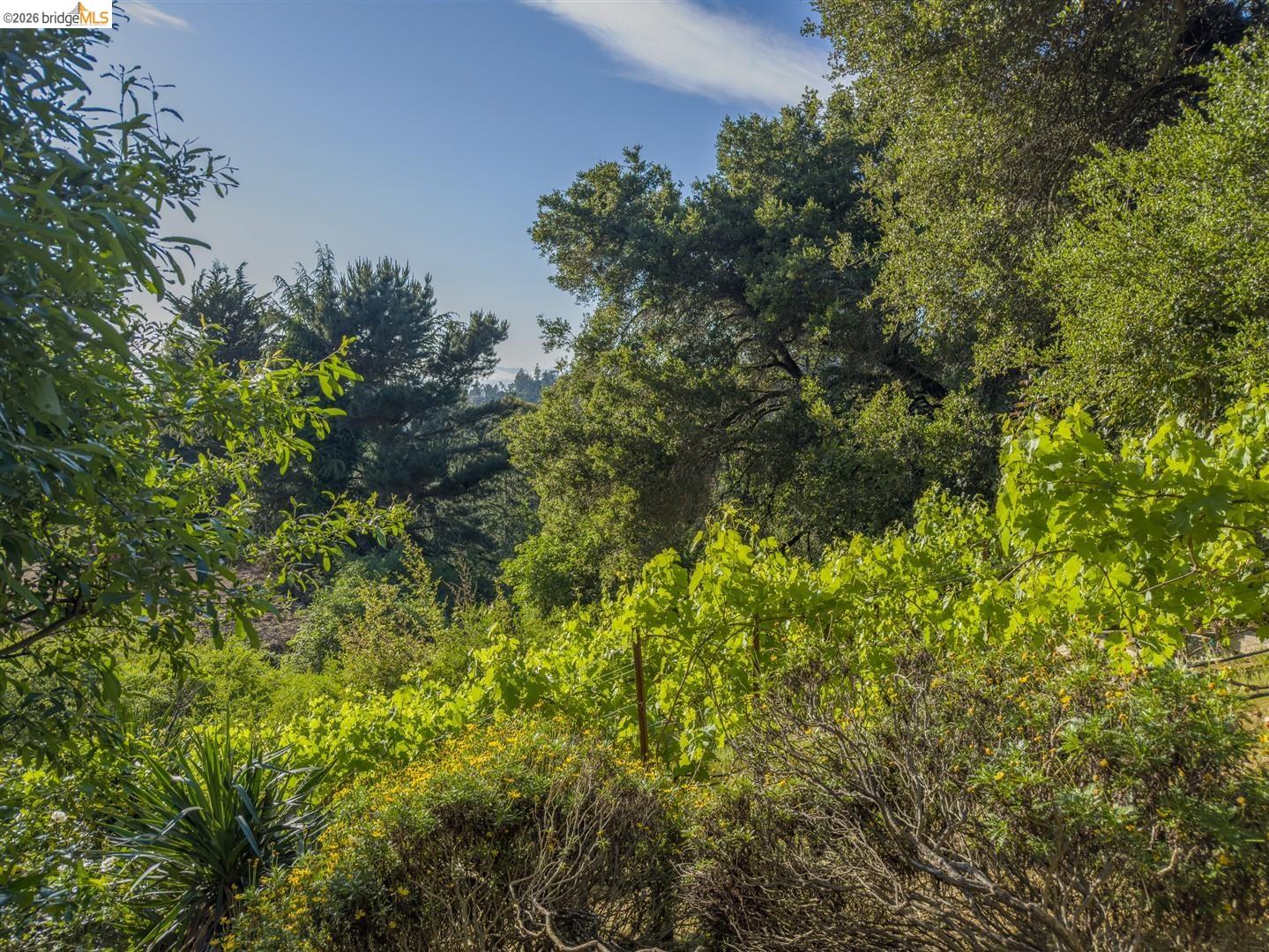 Detail Gallery Image 30 of 34 For 6741 Snake Rd, Oakland,  CA 94611 - 3 Beds | 2 Baths