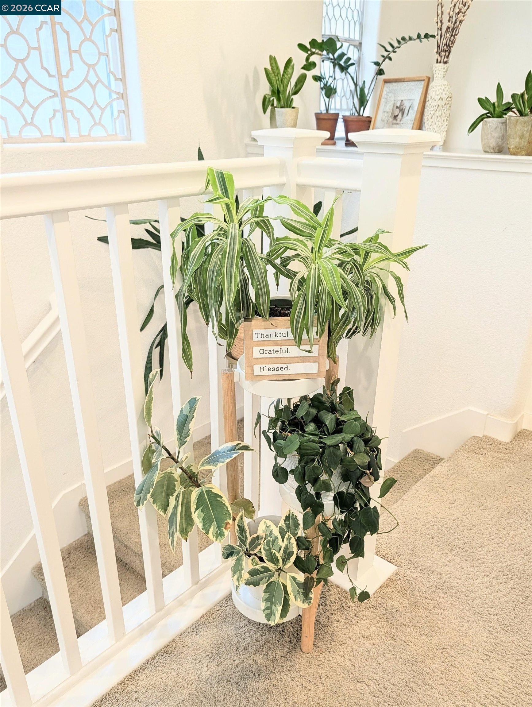 Detail Gallery Image 16 of 16 For 50 Driftwood Circle, Bay Point,  CA 94565 - 3 Beds | 2/1 Baths