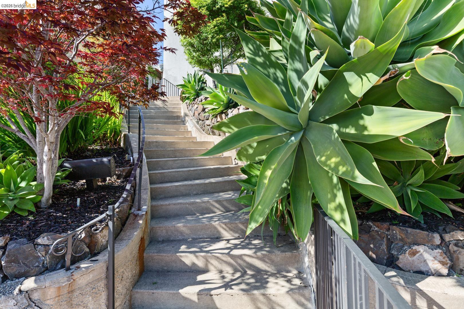 Detail Gallery Image 2 of 38 For 2031 Los Angeles Ave, Berkeley,  CA 94707 - 3 Beds | 1/1 Baths