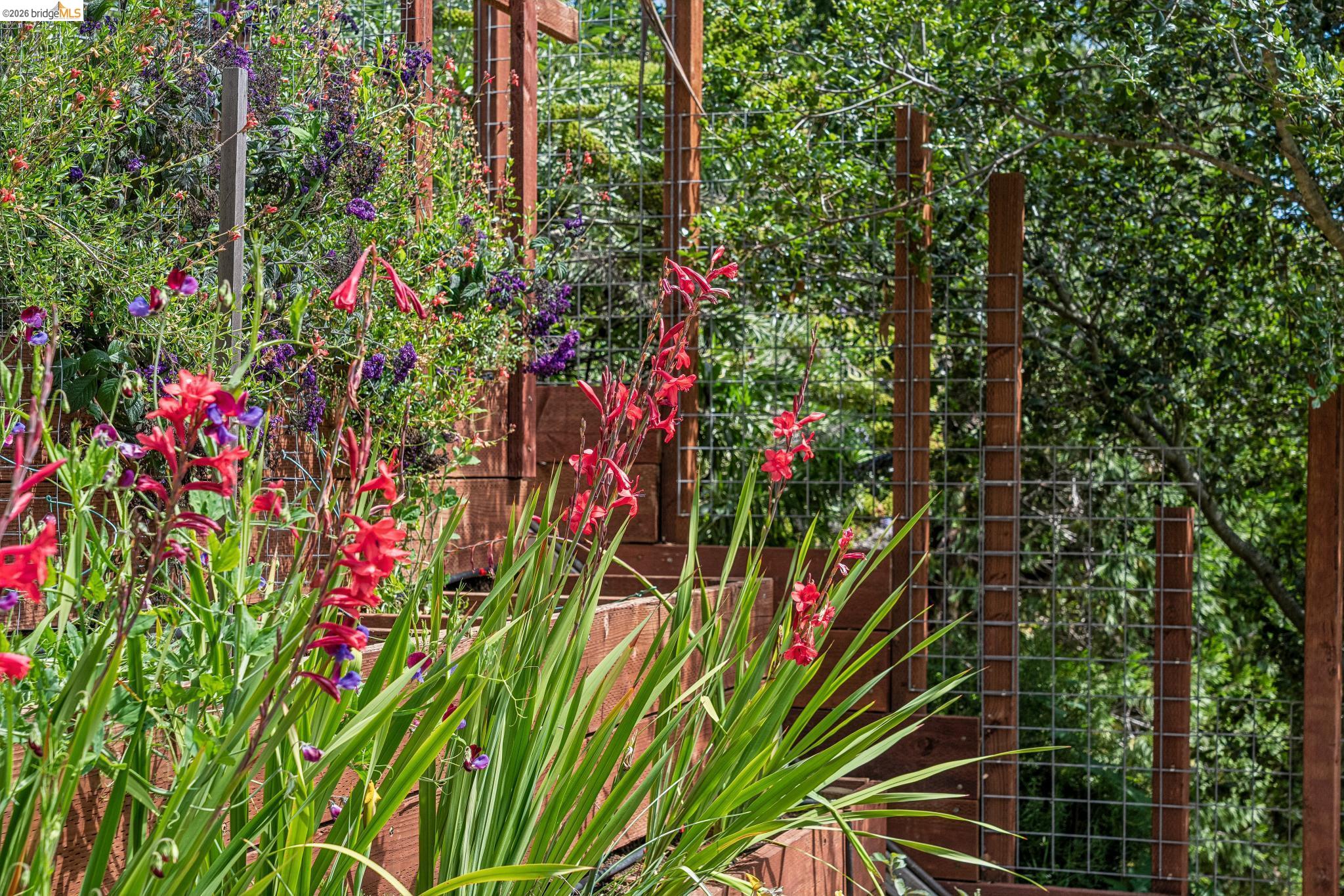 Detail Gallery Image 64 of 99 For 6383 Valley View Rd, Oakland,  CA 94611 - 4 Beds | 2/1 Baths