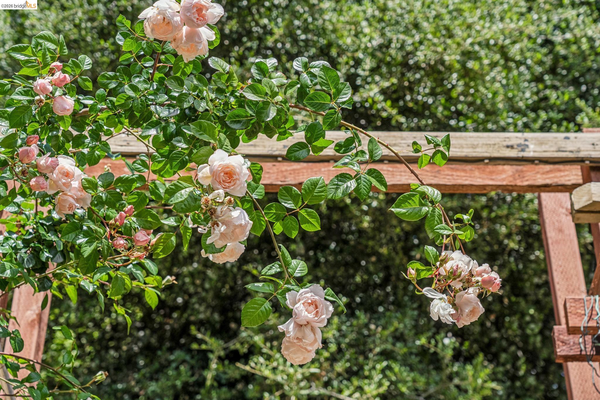 Detail Gallery Image 66 of 99 For 6383 Valley View Rd, Oakland,  CA 94611 - 4 Beds | 2/1 Baths