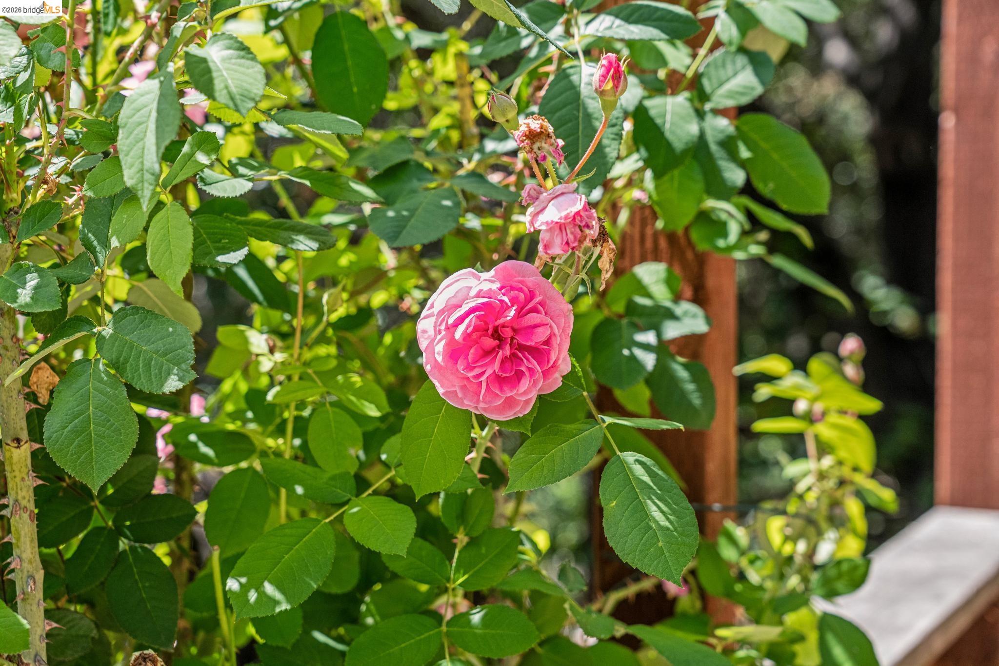 Detail Gallery Image 67 of 99 For 6383 Valley View Rd, Oakland,  CA 94611 - 4 Beds | 2/1 Baths