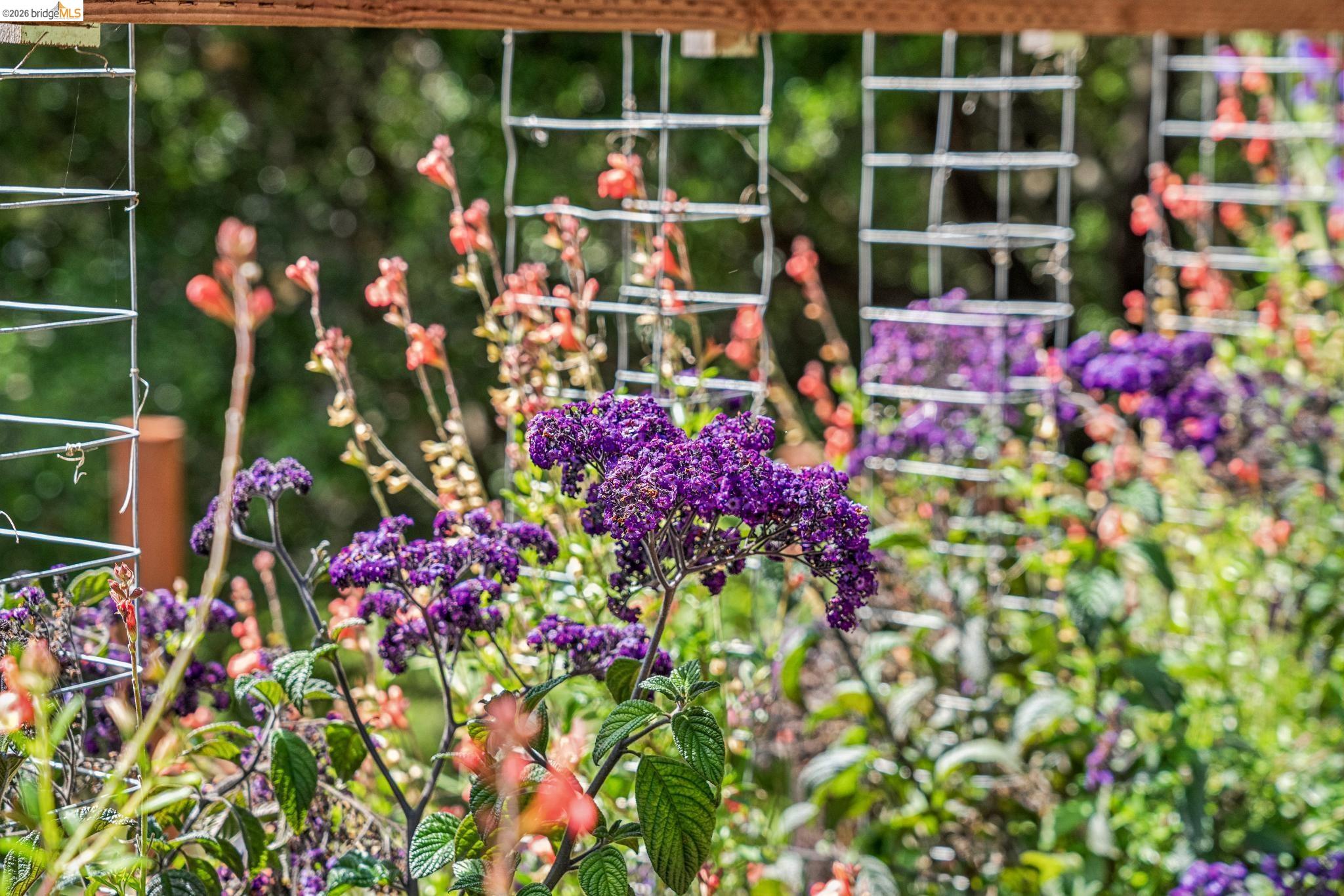 Detail Gallery Image 70 of 99 For 6383 Valley View Rd, Oakland,  CA 94611 - 4 Beds | 2/1 Baths