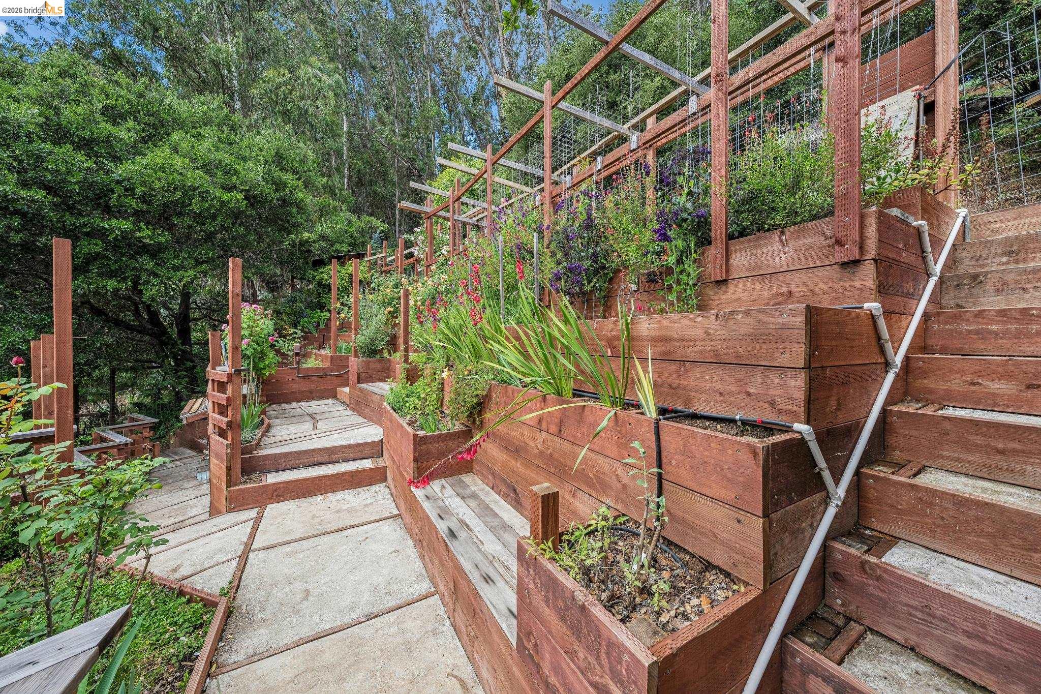 Detail Gallery Image 75 of 99 For 6383 Valley View Rd, Oakland,  CA 94611 - 4 Beds | 2/1 Baths