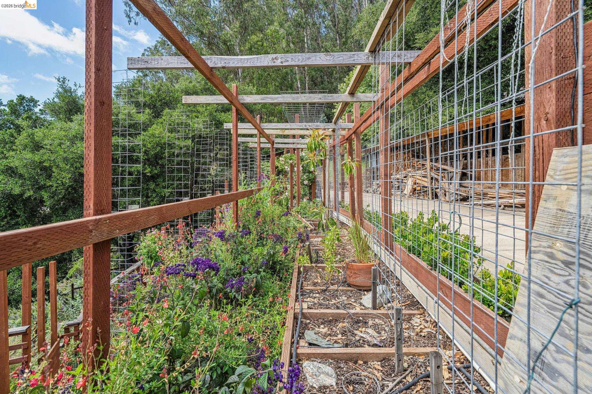 Detail Gallery Image 77 of 99 For 6383 Valley View Rd, Oakland,  CA 94611 - 4 Beds | 2/1 Baths