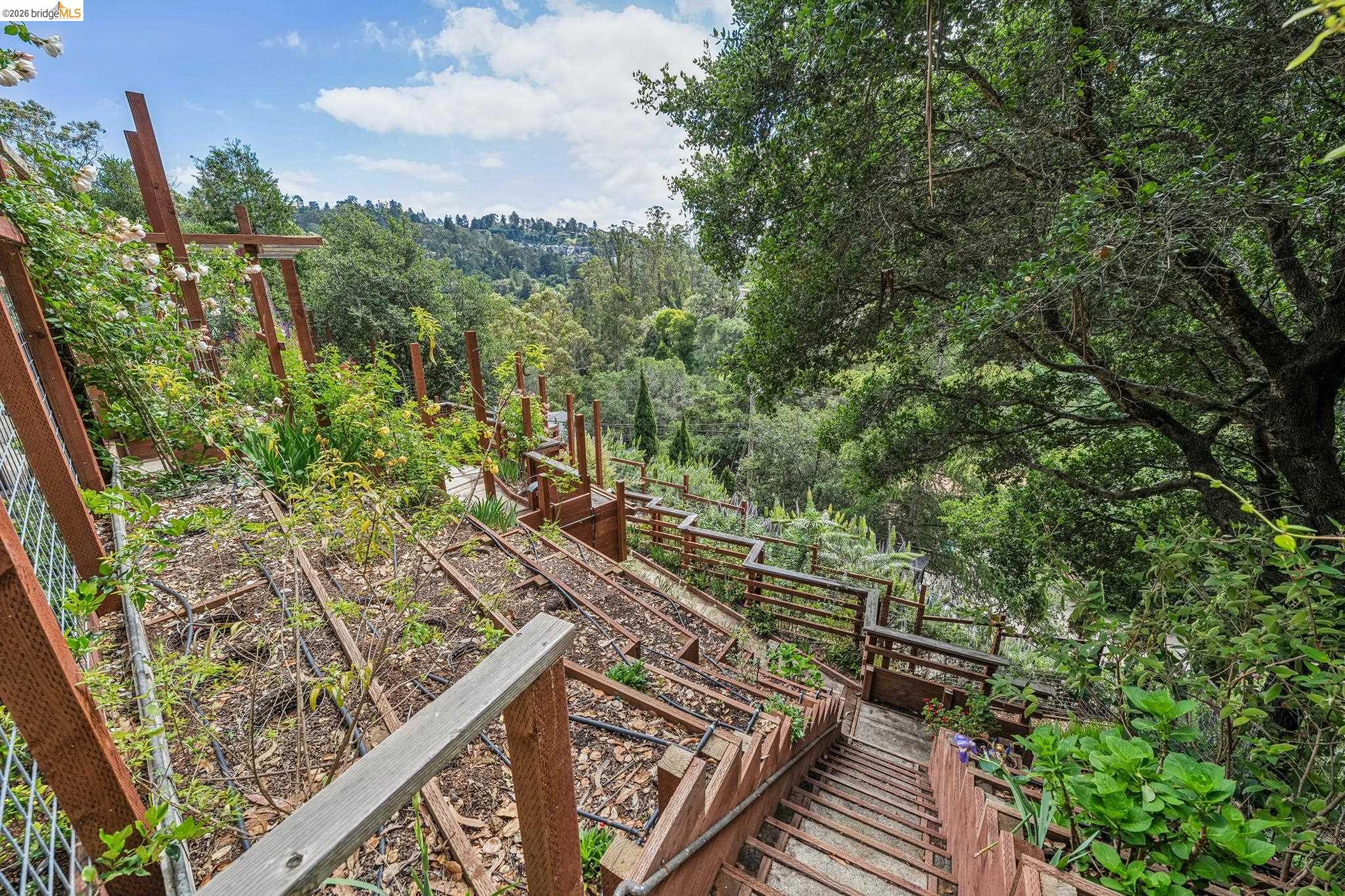 Detail Gallery Image 79 of 99 For 6383 Valley View Rd, Oakland,  CA 94611 - 4 Beds | 2/1 Baths