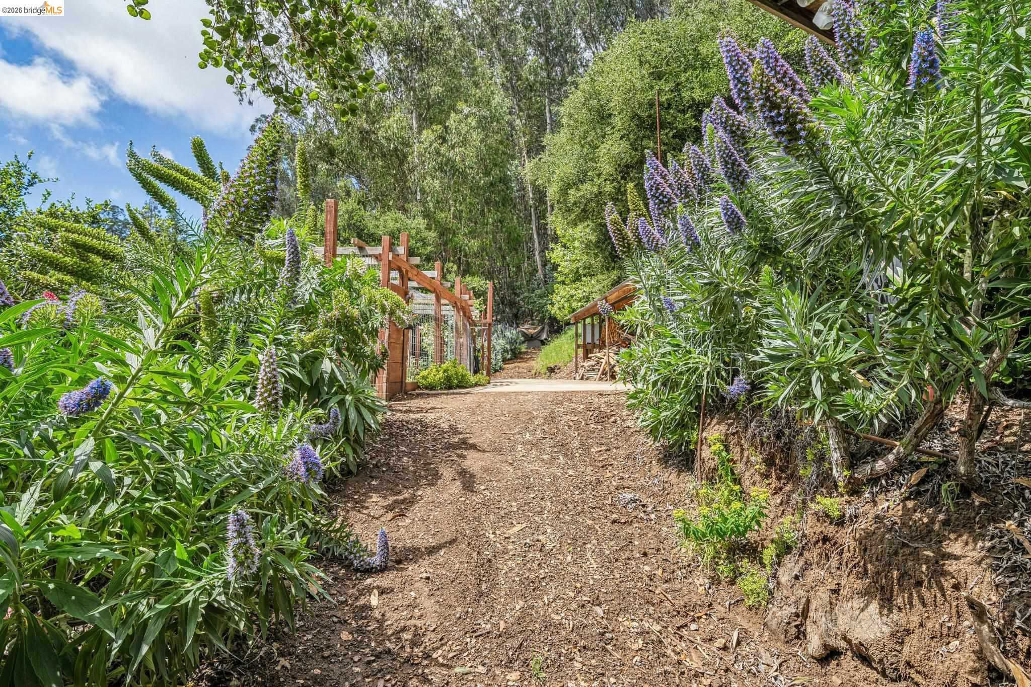 Detail Gallery Image 84 of 99 For 6383 Valley View Rd, Oakland,  CA 94611 - 4 Beds | 2/1 Baths