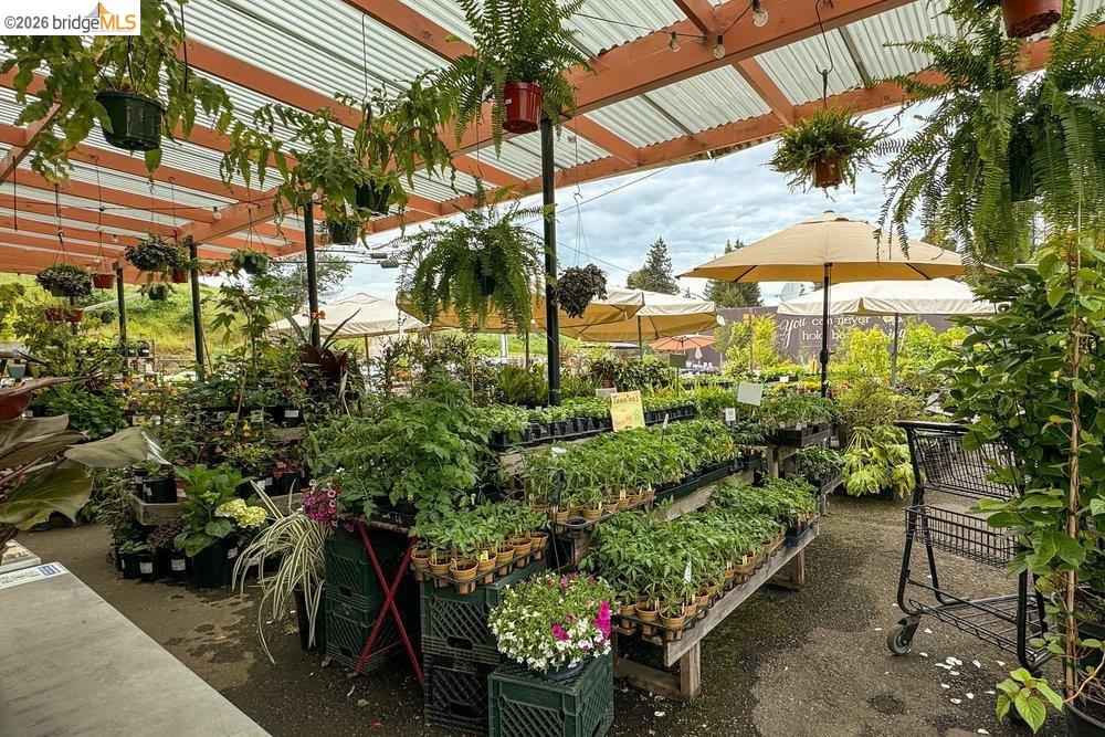 Detail Gallery Image 54 of 61 For 84 Templar Place, Oakland,  CA 94618 - 3 Beds | 2 Baths