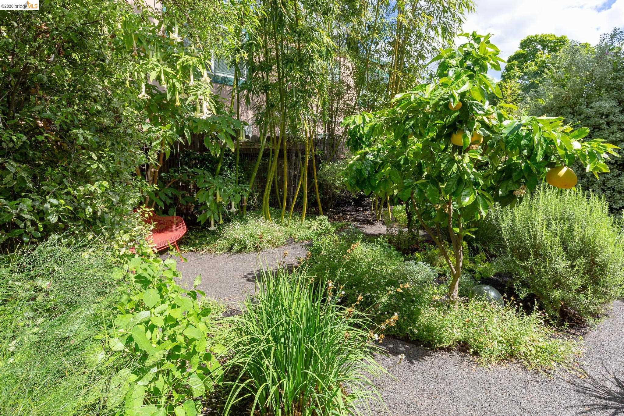 Detail Gallery Image 39 of 50 For 2155 Emerson Street, Berkeley,  CA 94705 - 2 Beds | 1 Baths