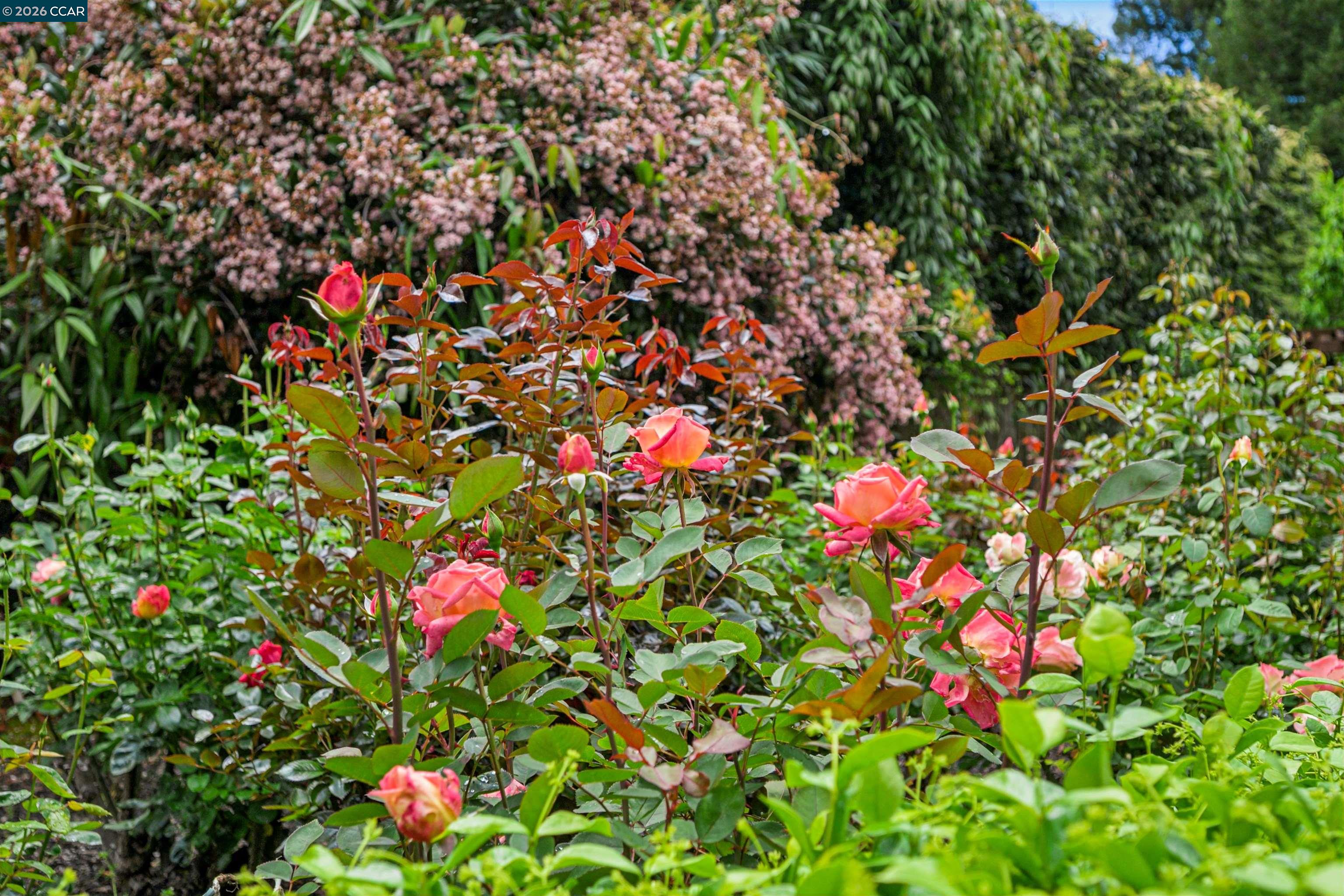 3814 Happy Valley Rd, Lafayette, CA, 94549