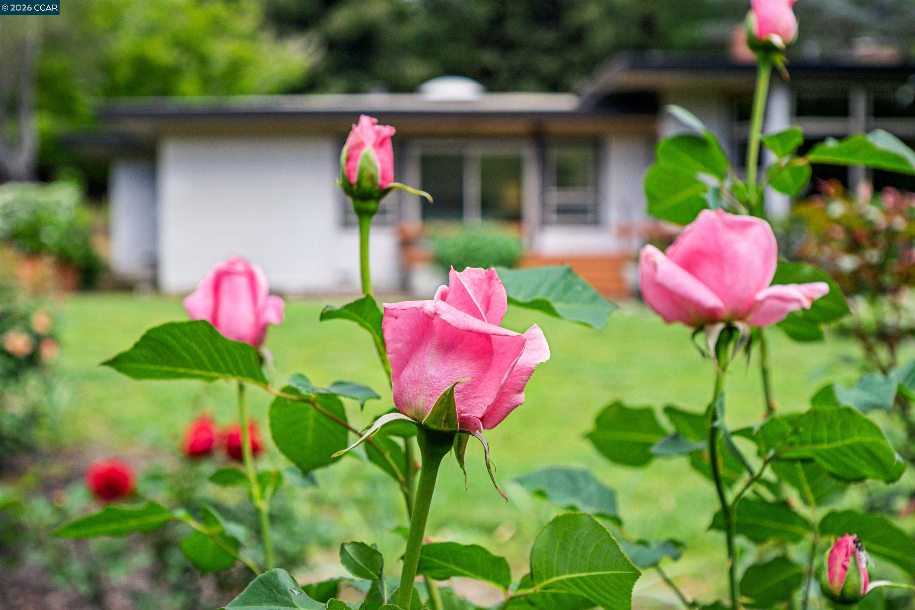 3814 Happy Valley Rd, Lafayette, CA, 94549