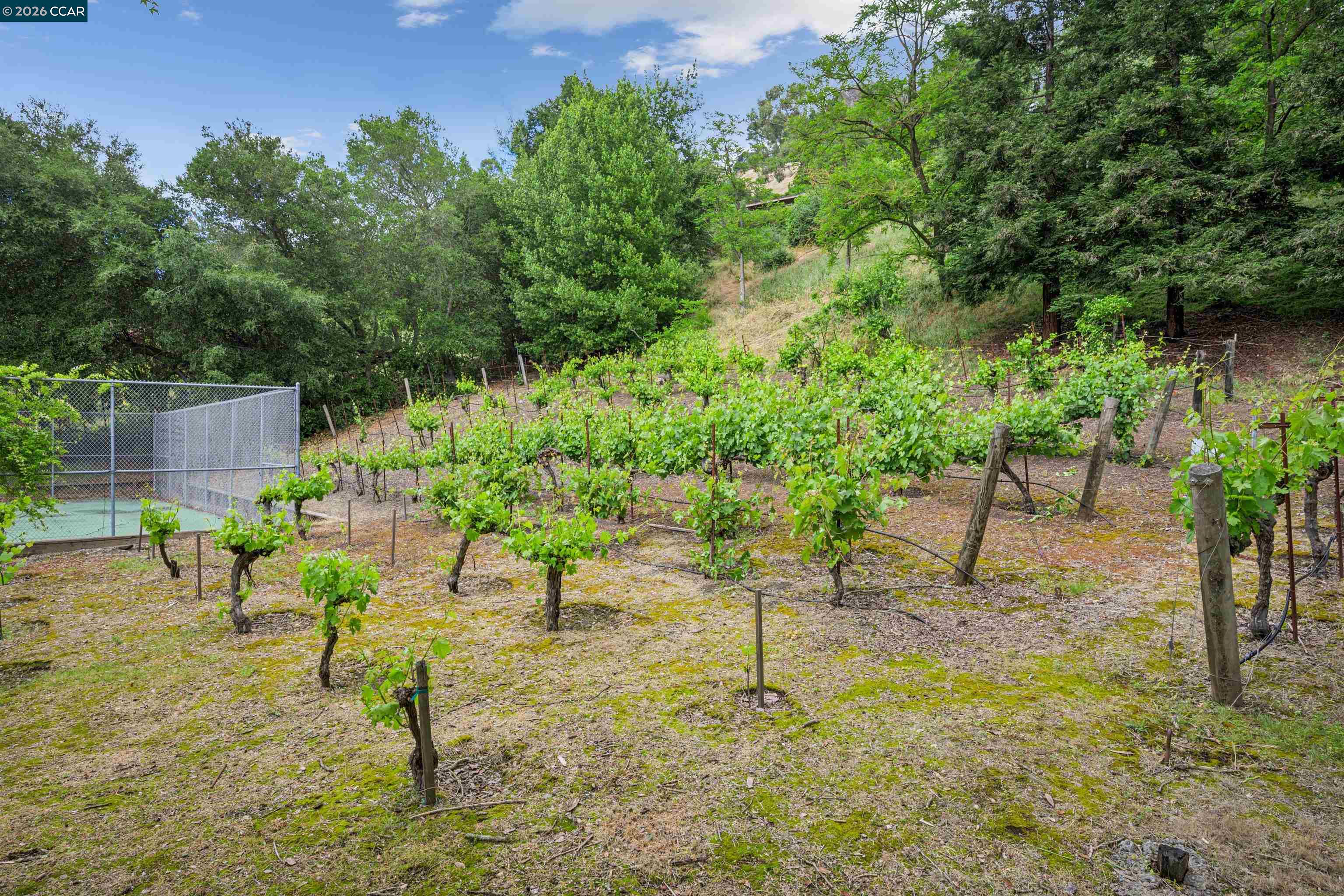 3814 Happy Valley Rd, Lafayette, CA, 94549