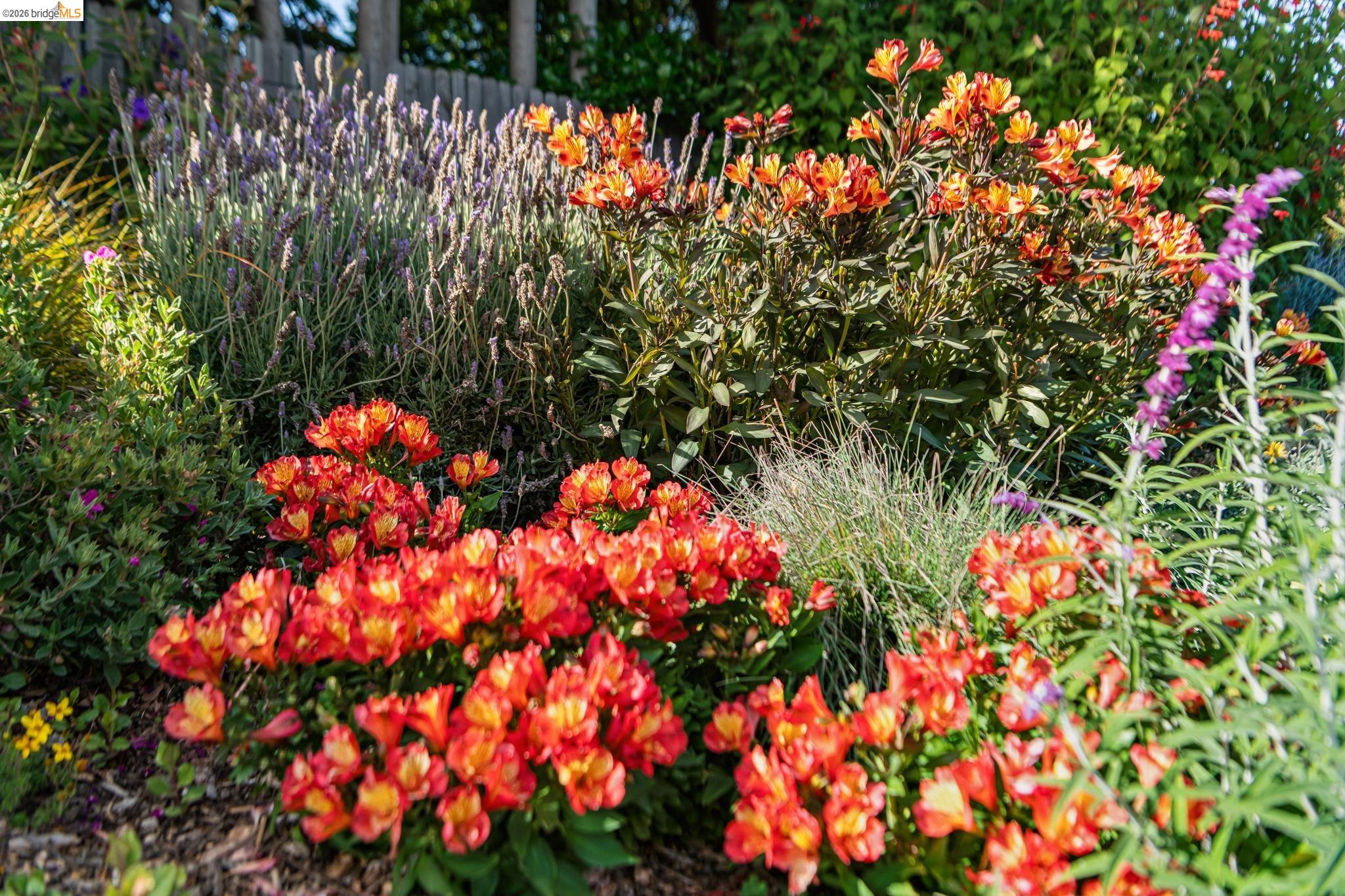 Detail Gallery Image 46 of 86 For 5705 Panama Ave, Richmond,  CA 94804 - – Beds | – Baths