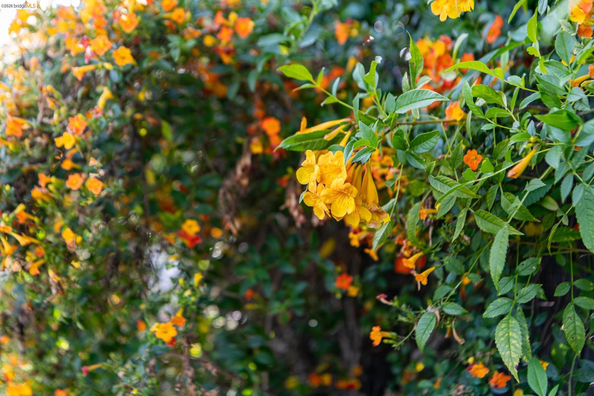 Detail Gallery Image 83 of 86 For 5705 Panama Ave, Richmond,  CA 94804 - – Beds | – Baths