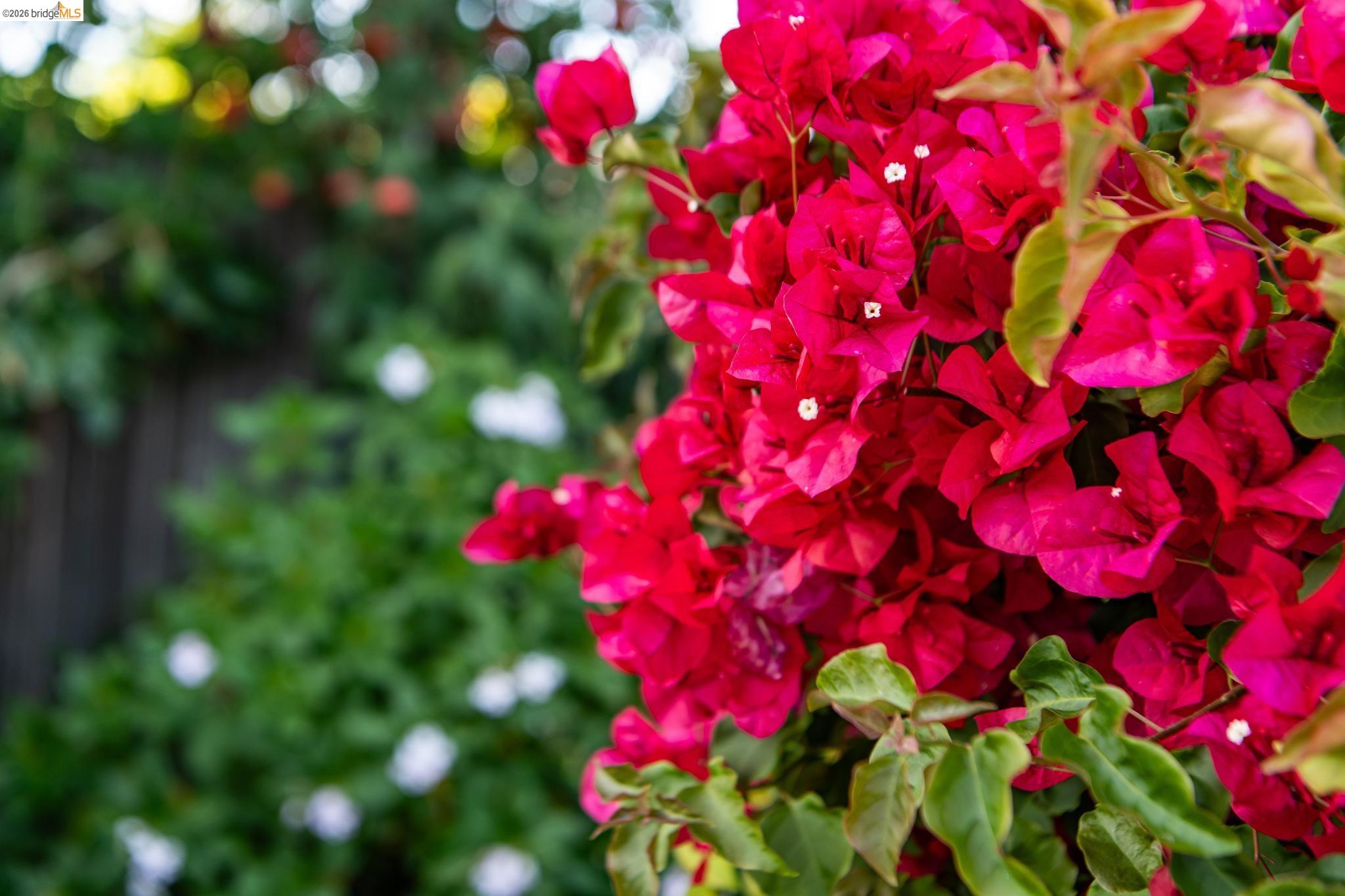 Detail Gallery Image 85 of 86 For 5705 Panama Ave, Richmond,  CA 94804 - – Beds | – Baths