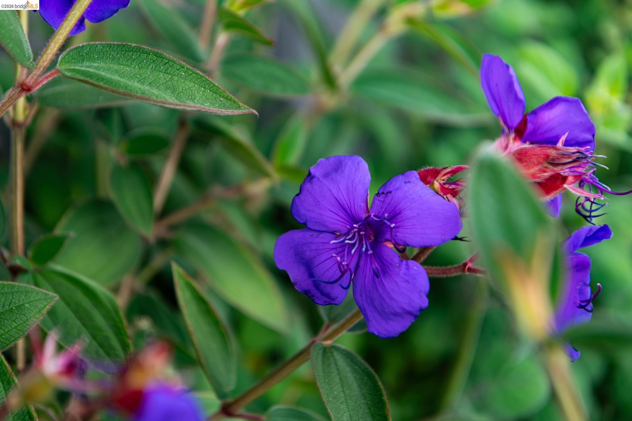 Detail Gallery Image 72 of 86 For 5705 Panama Ave, Richmond,  CA 94804 - 3 Beds | 2/1 Baths