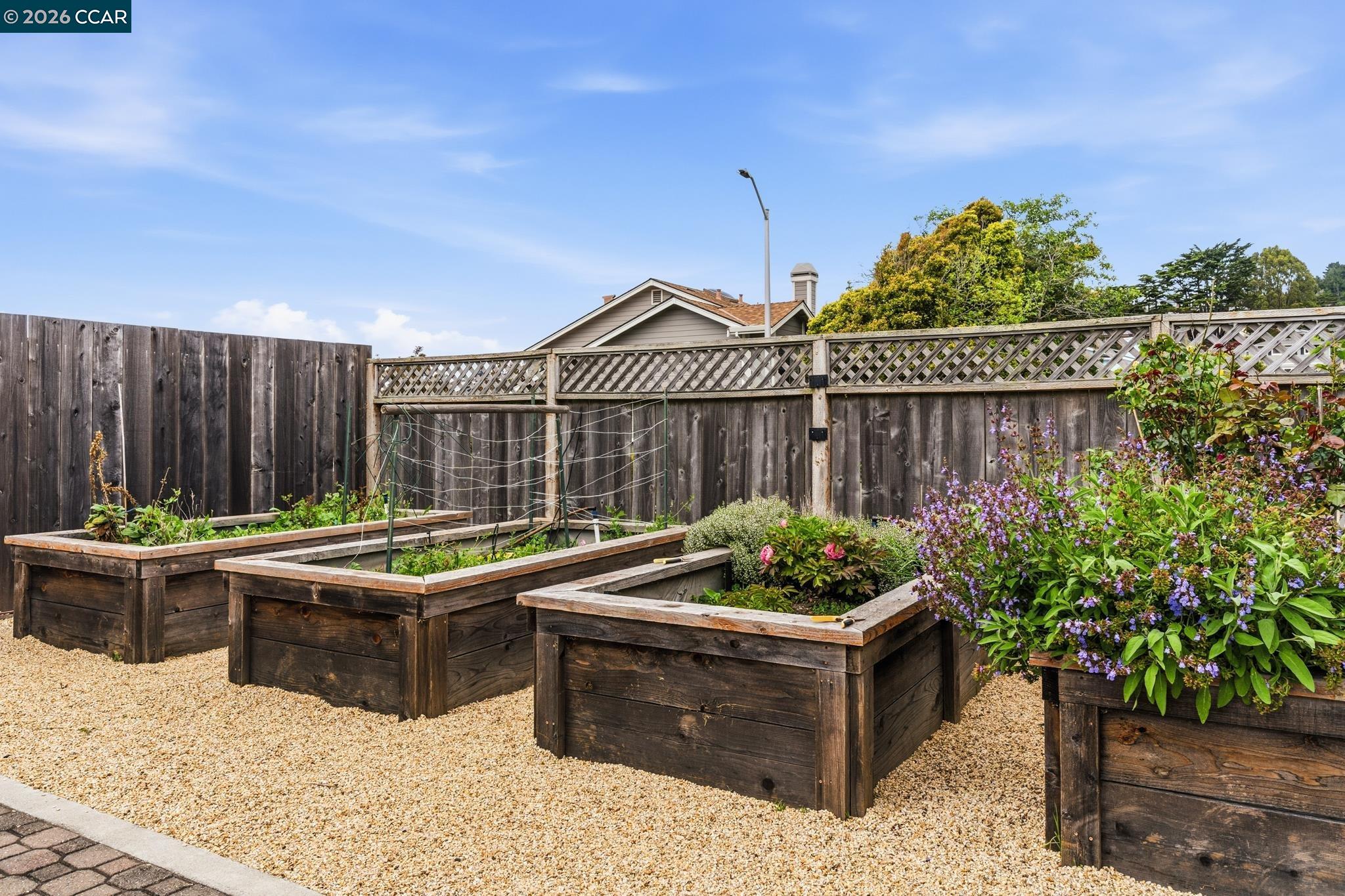 Detail Gallery Image 48 of 59 For 1172 Peralta Rd, Pacifica,  CA 94044 - 3 Beds | 2 Baths