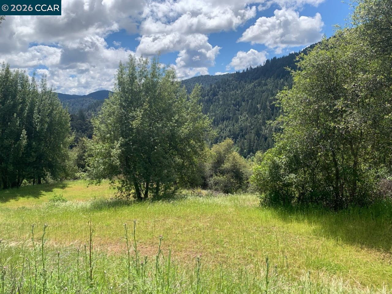 56025 N HIGHWAY 101, Laytonville CA 95454 — photo 13