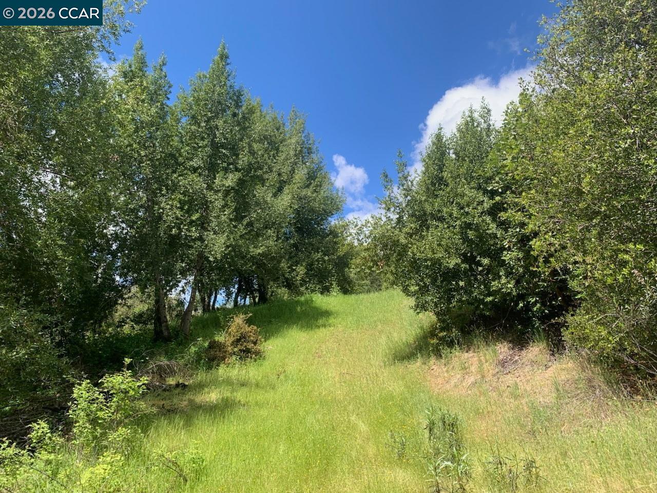 56025 N HIGHWAY 101, Laytonville CA 95454 — photo 14