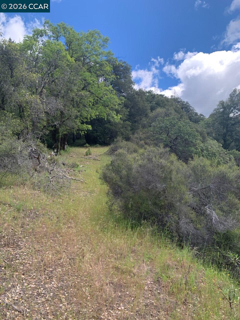 56025 N HIGHWAY 101, Laytonville CA 95454 — photo 20