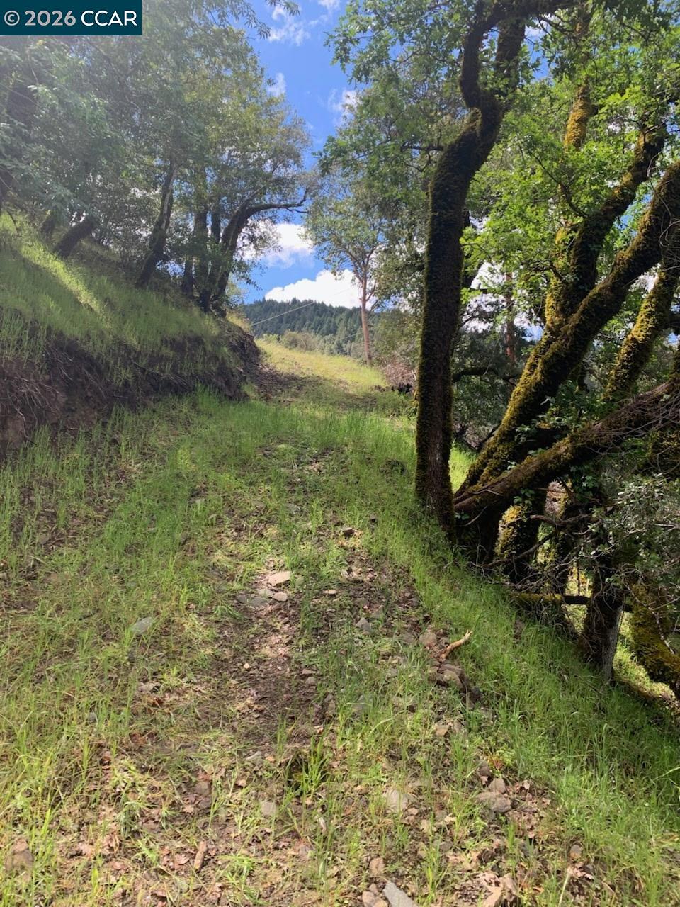 56025 N HIGHWAY 101, Laytonville CA 95454 — photo 21