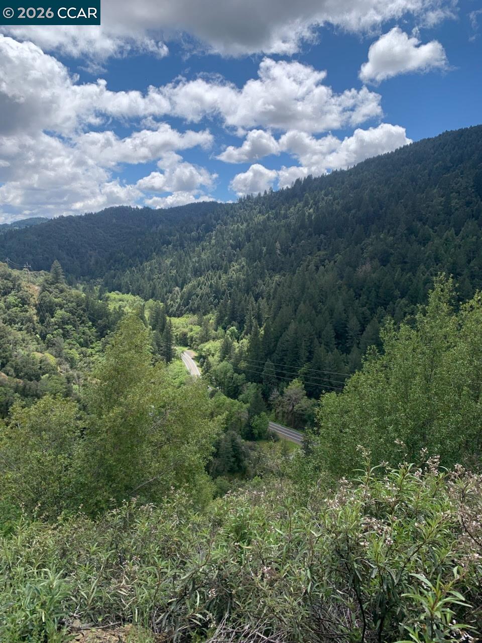 56025 N HIGHWAY 101, Laytonville CA 95454 — photo 22
