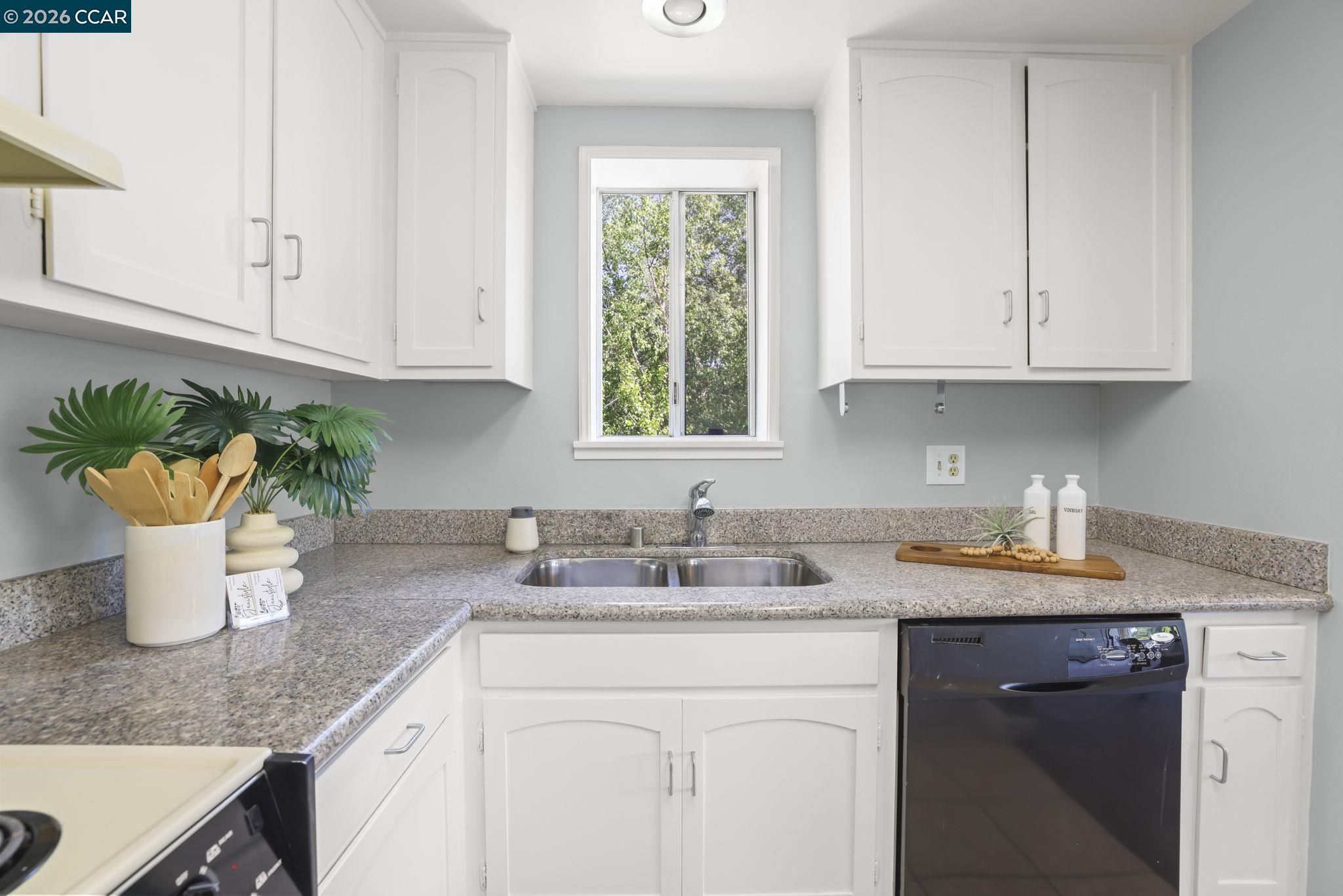 1117 Golden Rain Rd UNIT 1, Walnut Creek, CA, 94595