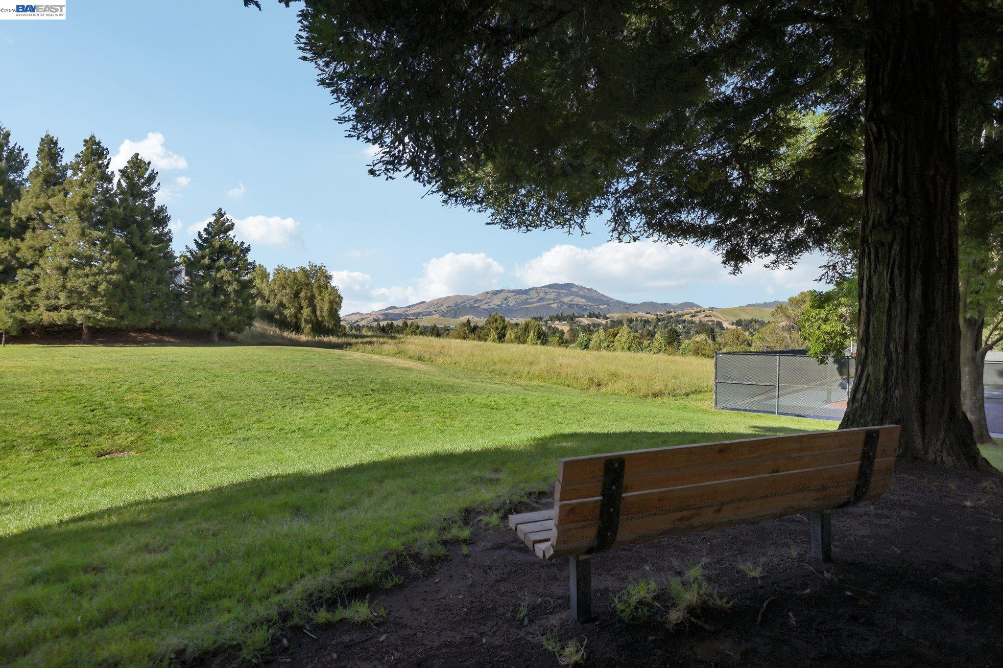 Photo #36: 41131080 Listing: Photo #36