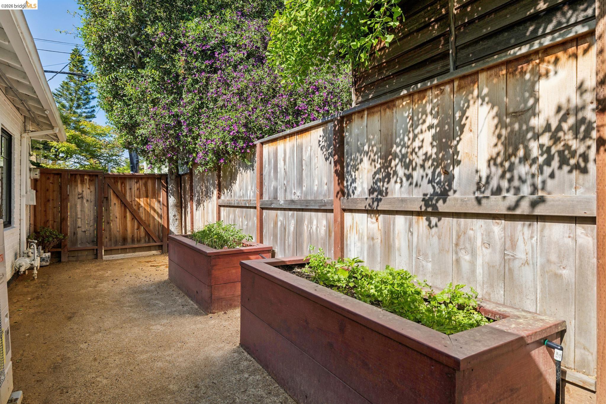 Detail Gallery Image 45 of 49 For 1020 Channing Way, Berkeley,  CA 94710 - 3 Beds | 1 Baths