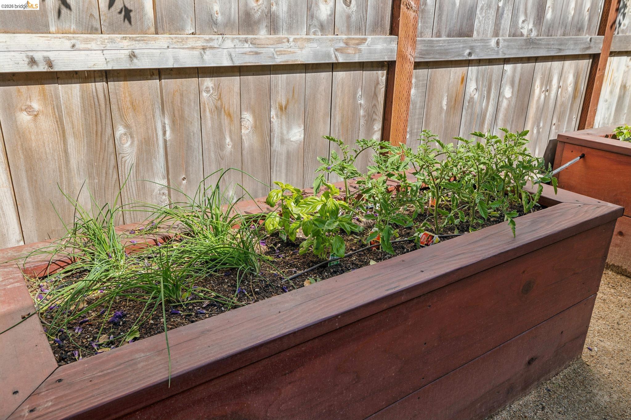 Detail Gallery Image 46 of 49 For 1020 Channing Way, Berkeley,  CA 94710 - 3 Beds | 1 Baths