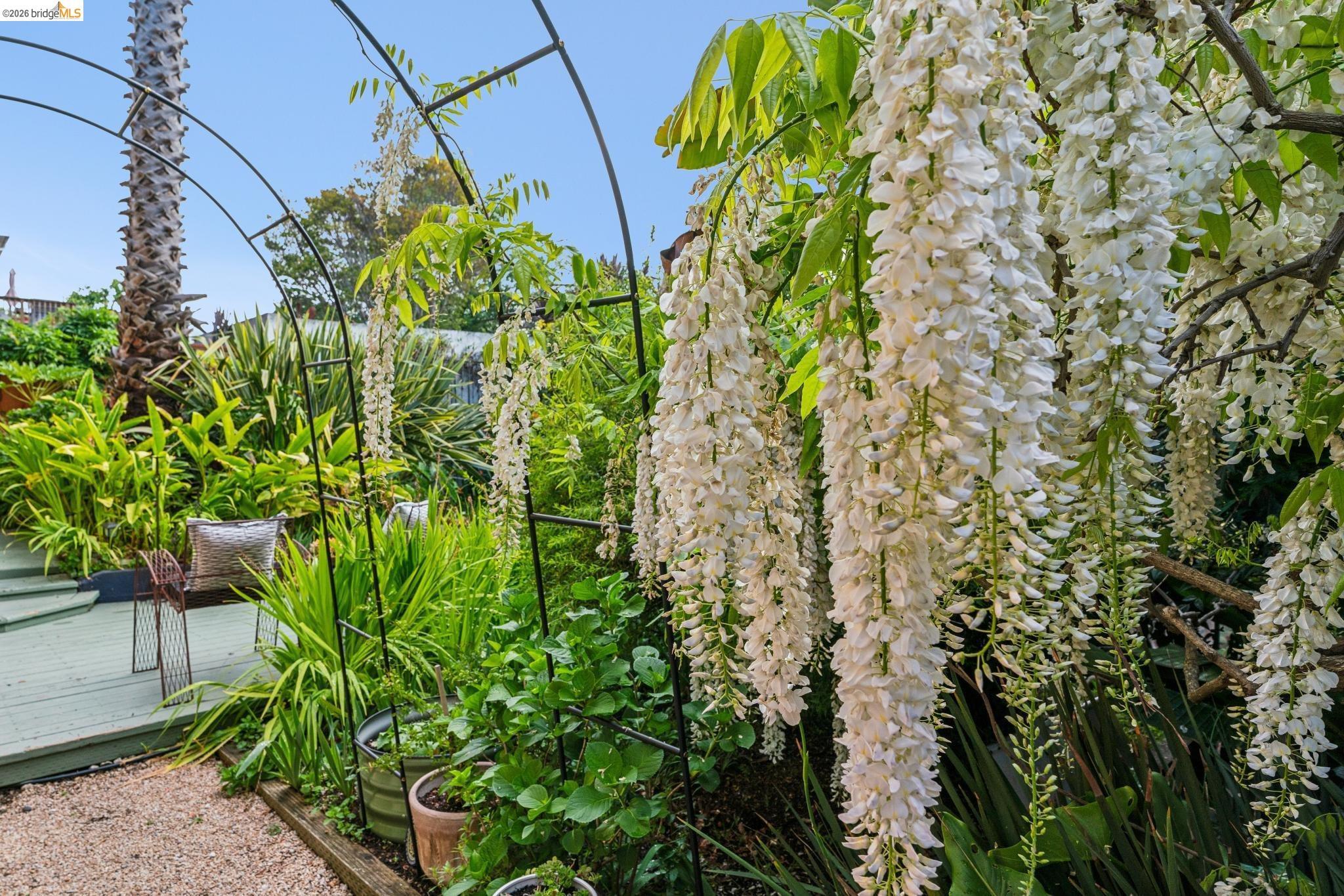 Detail Gallery Image 46 of 49 For 5108 Coronado Ave, Oakland,  CA 94618 - 4 Beds | 2 Baths