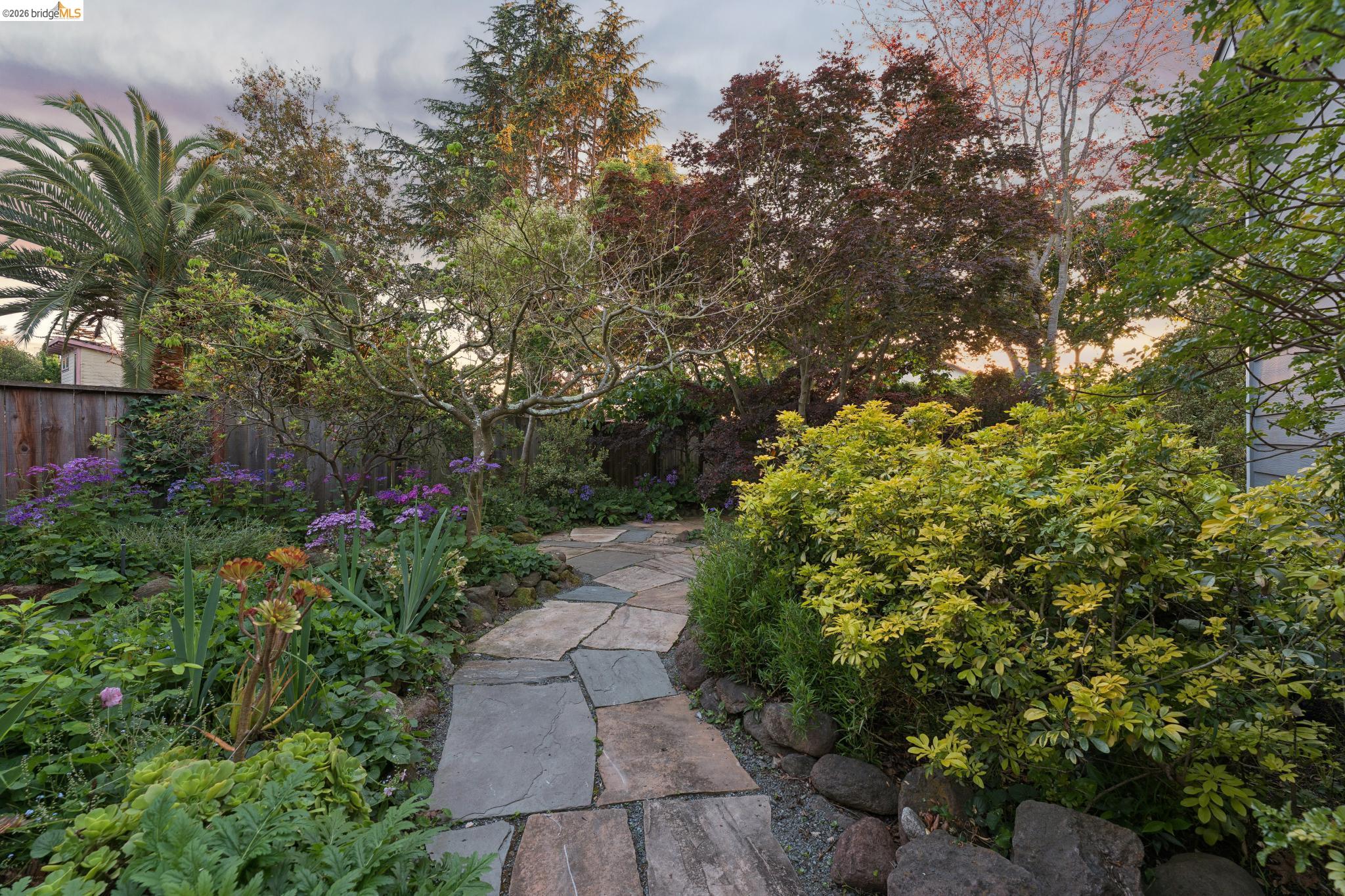 Detail Gallery Image 55 of 63 For 1356 Acton Street, Berkeley,  CA 94706-2502 - 4 Beds | 3 Baths