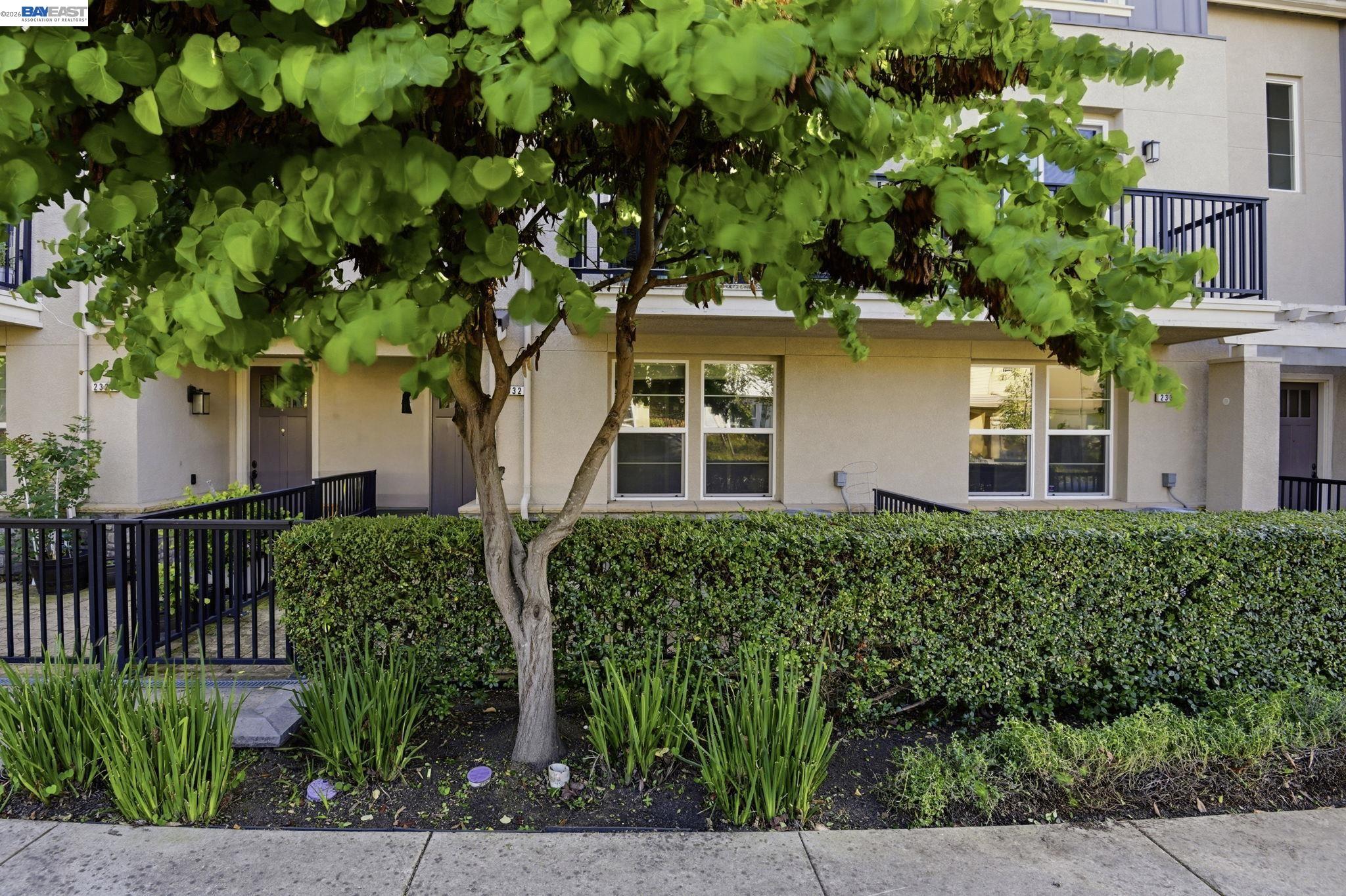 Photo #41: 41131118 Listing: Photo #41