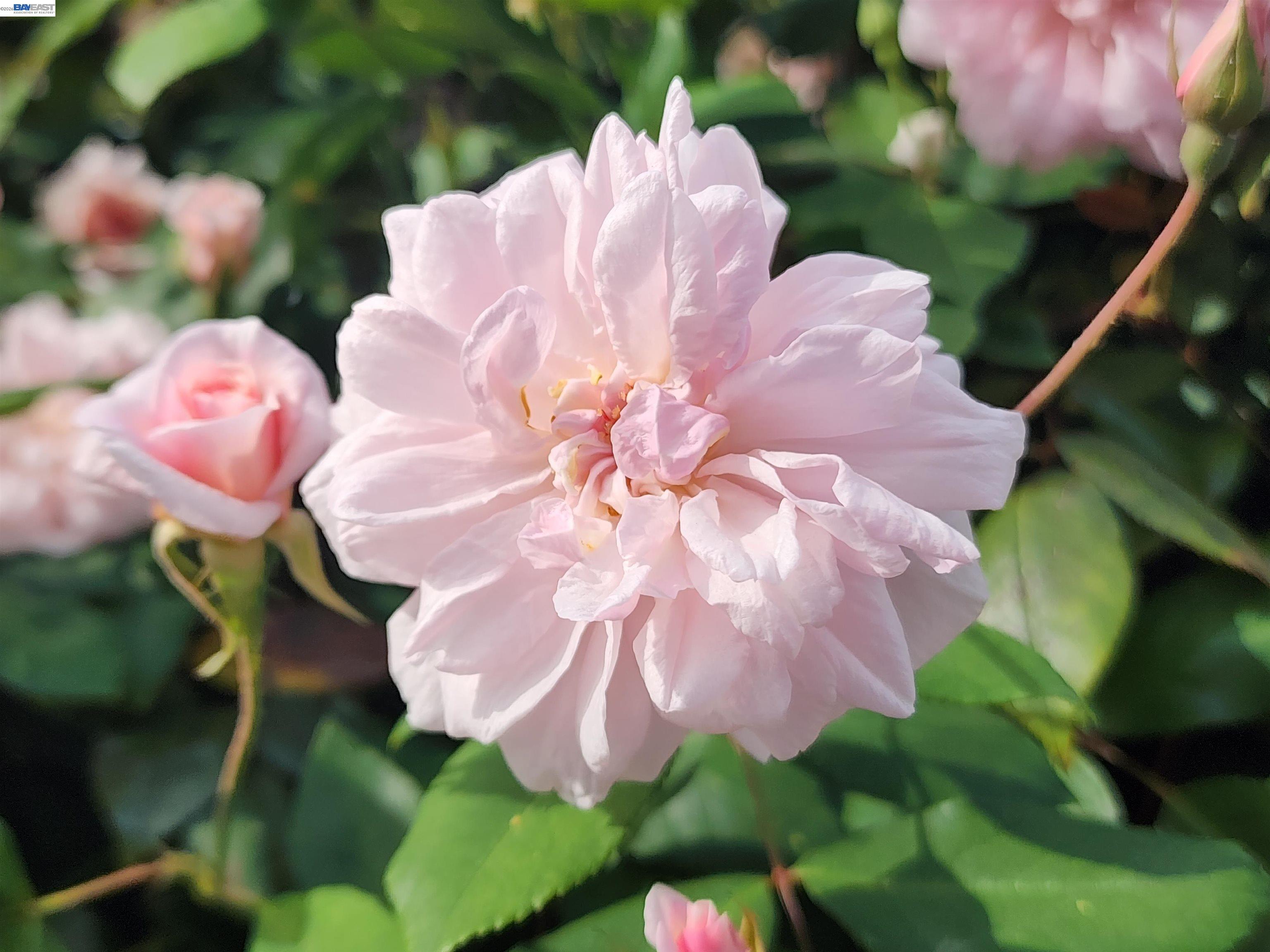 Detail Gallery Image 13 of 22 For 634 8th St, Richmond,  CA 94801 - 4 Beds | 2 Baths