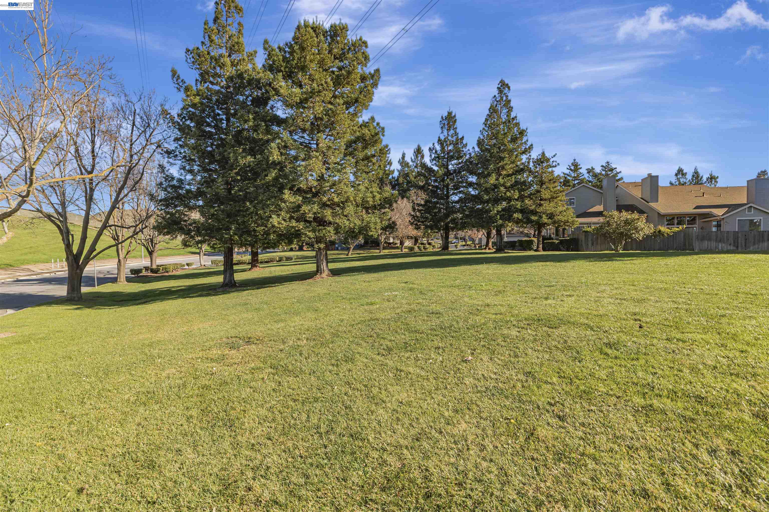 Photo #39: 41131128 Listing: Photo #39