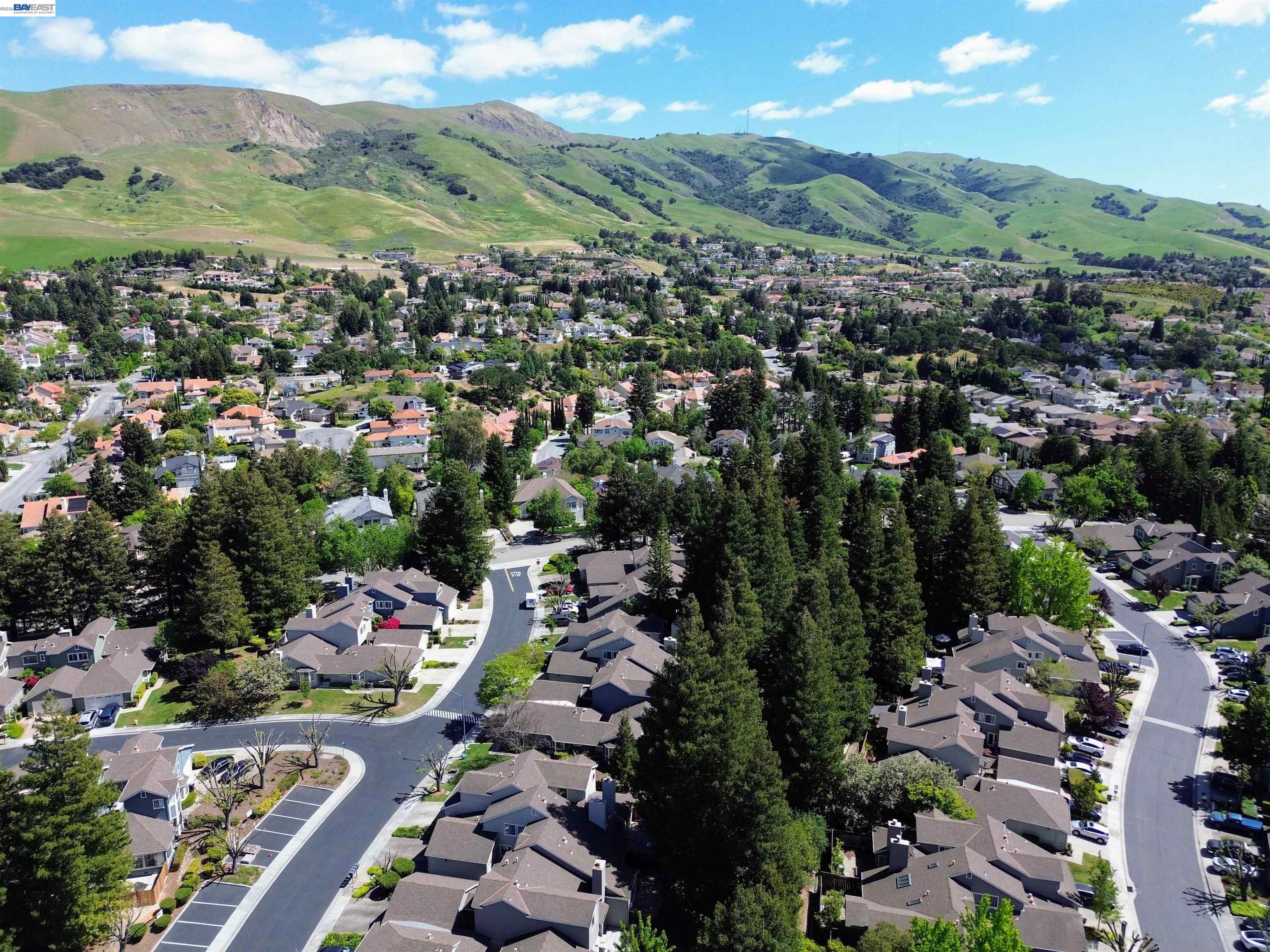 Photo #43: 41131128 Listing: Photo #43