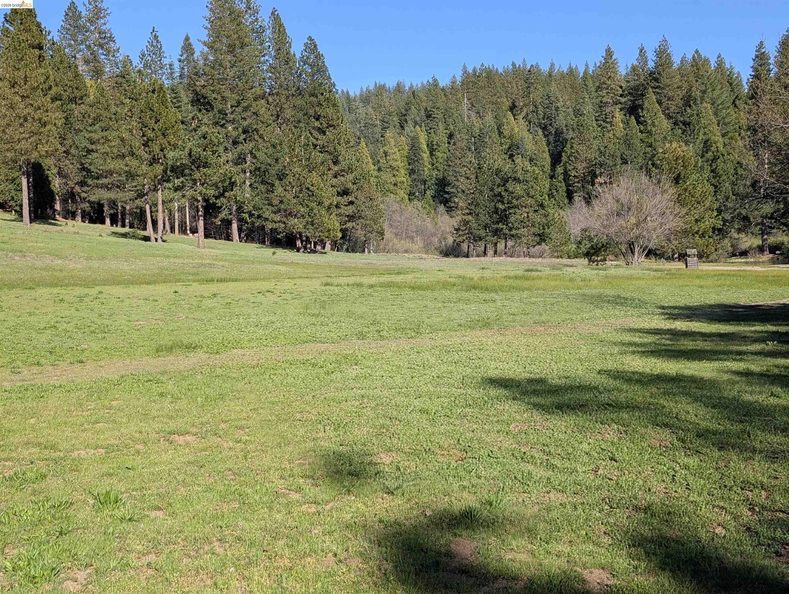 25149 Abraham St, Long Barn CA 95335 — photo 74