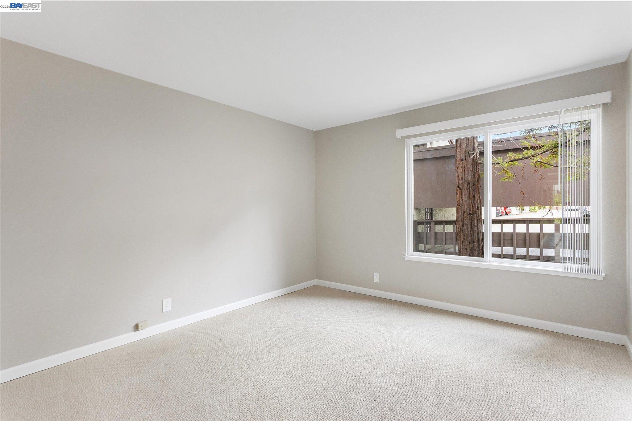 Photo #19: 41131164 Listing: Photo #19