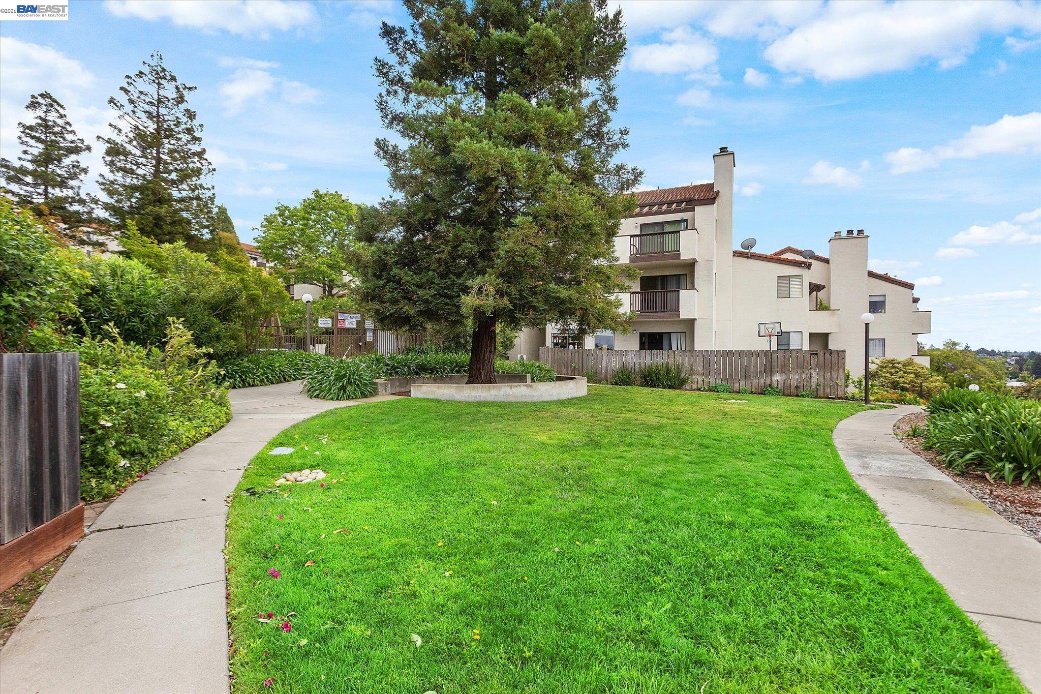 Photo #36: 41131164 Listing: Photo #36